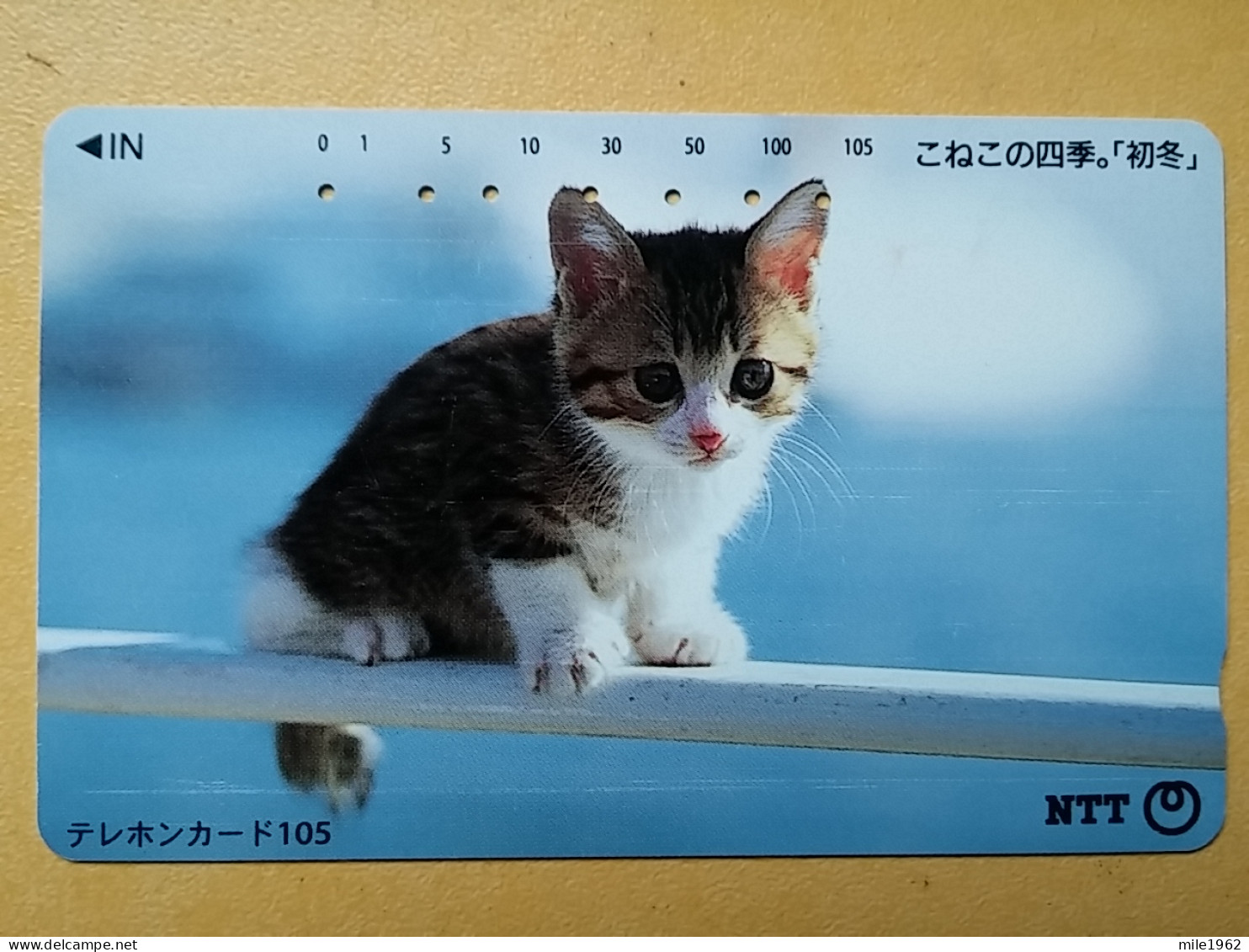 T-361 - JAPAN, Japon, Nipon, TELECARD, PHONECARD, Cat, Chat, NTT 111-037 - Chats