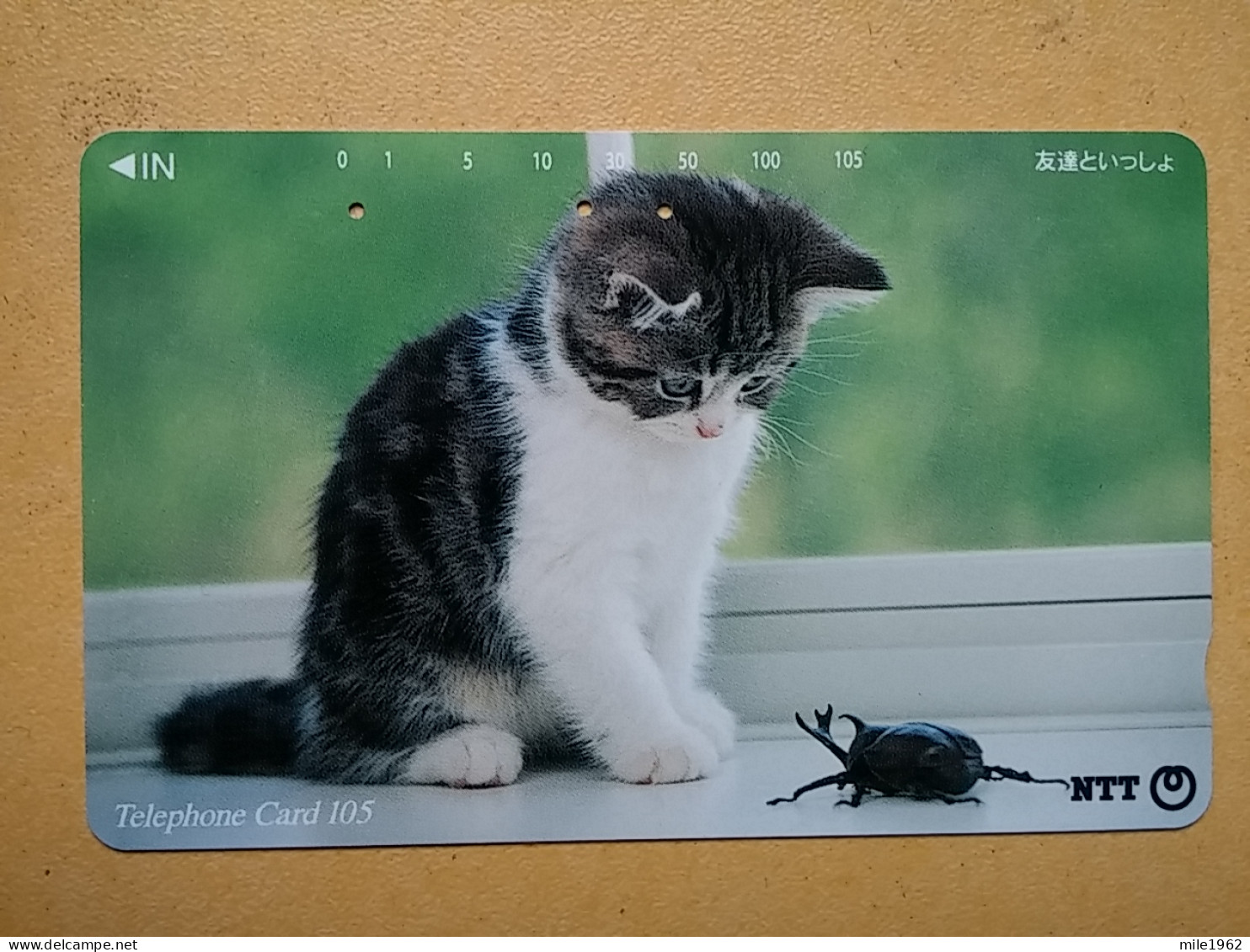 T-361 - JAPAN, Japon, Nipon, TELECARD, PHONECARD, Cat, Chat, NTT 111-066 - Chats