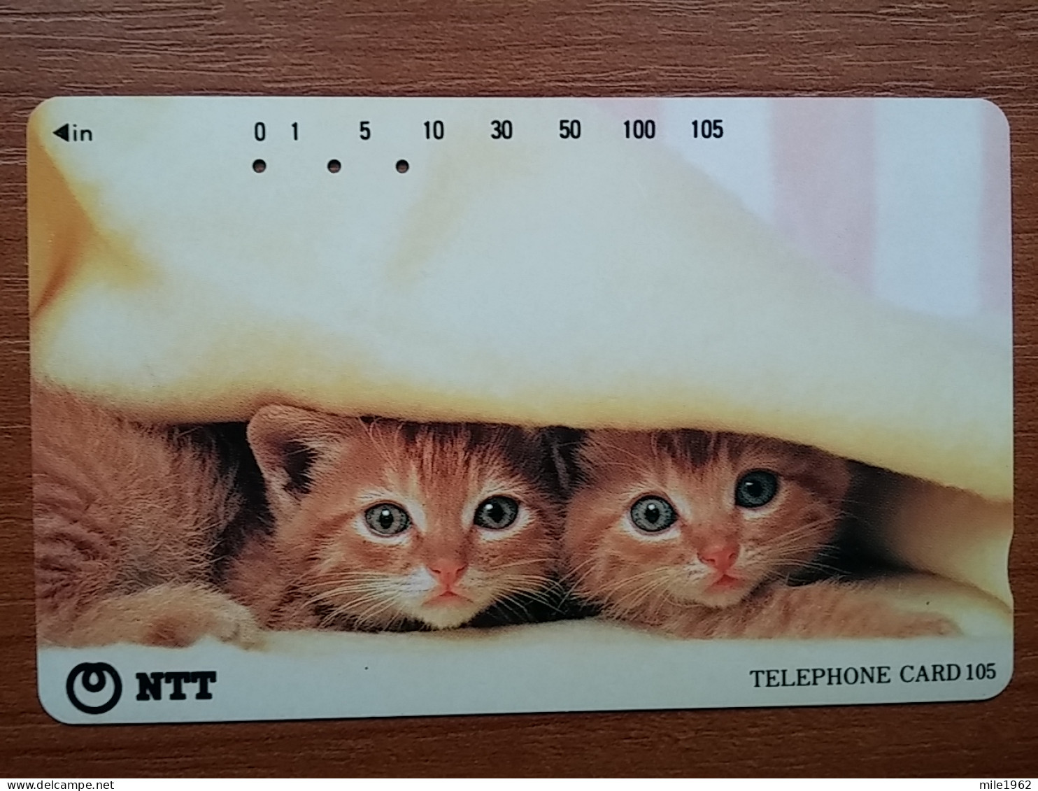 T-361 - JAPAN, Japon, Nipon, TELECARD, PHONECARD, Cat, Chat, NTT 111-076 - Gatos