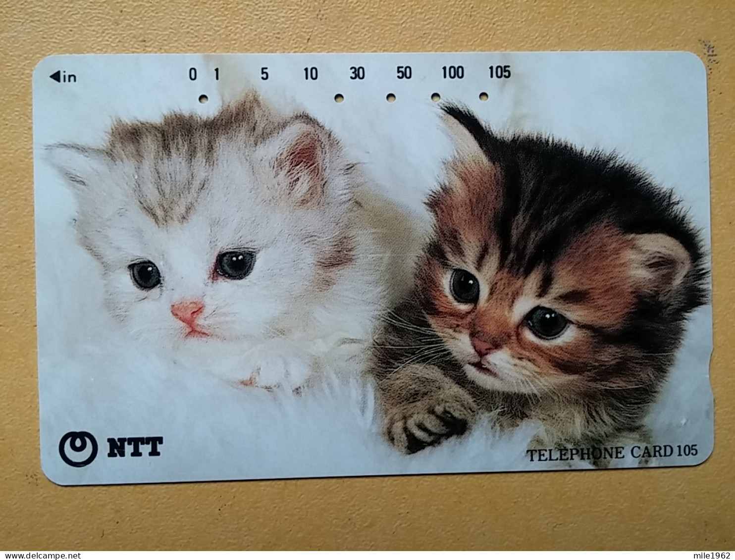 T-361 - JAPAN, Japon, Nipon, TELECARD, PHONECARD, Cat, Chat, NTT 111-083 - Gatti