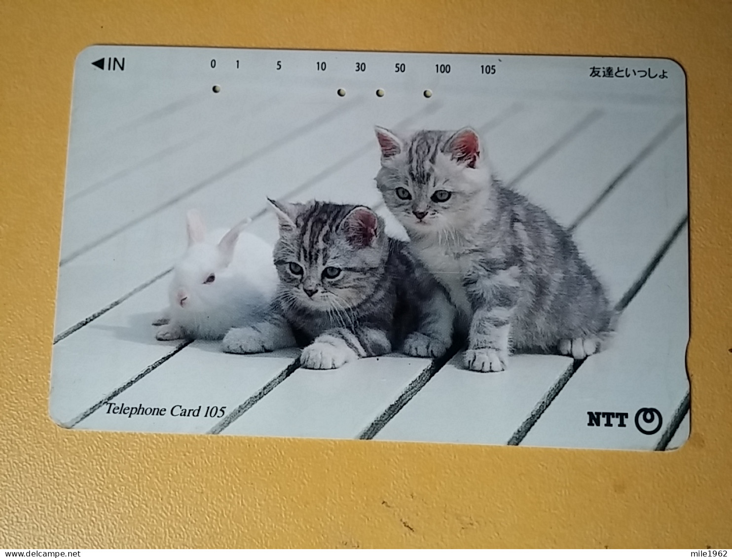 T-361 - JAPAN, Japon, Nipon, TELECARD, PHONECARD, Cat, Chat, NTT 111-088 - Cats