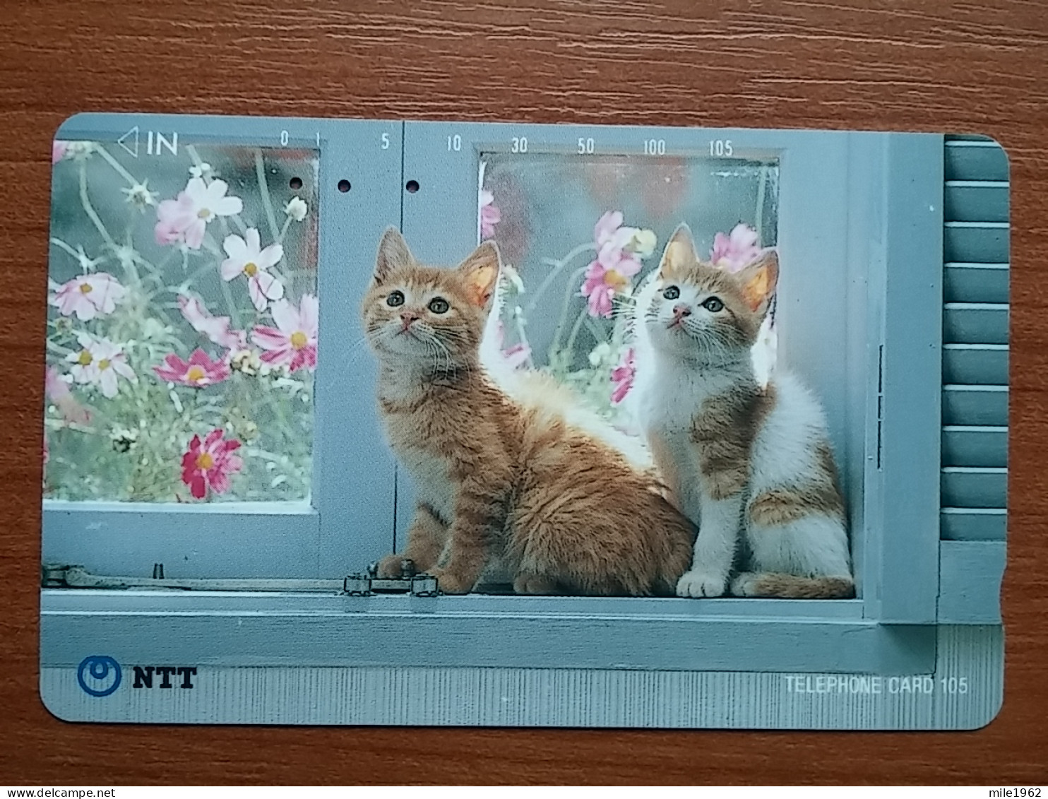 T-361 - JAPAN, Japon, Nipon, TELECARD, PHONECARD, Cat, Chat, NTT 231-033 - Cats