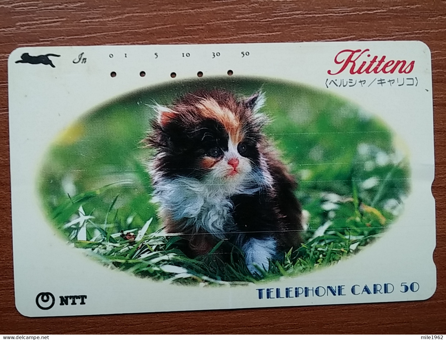 T-361 - JAPAN, Japon, Nipon, TELECARD, PHONECARD, Cat, Chat, NTT 250-357 - Cats