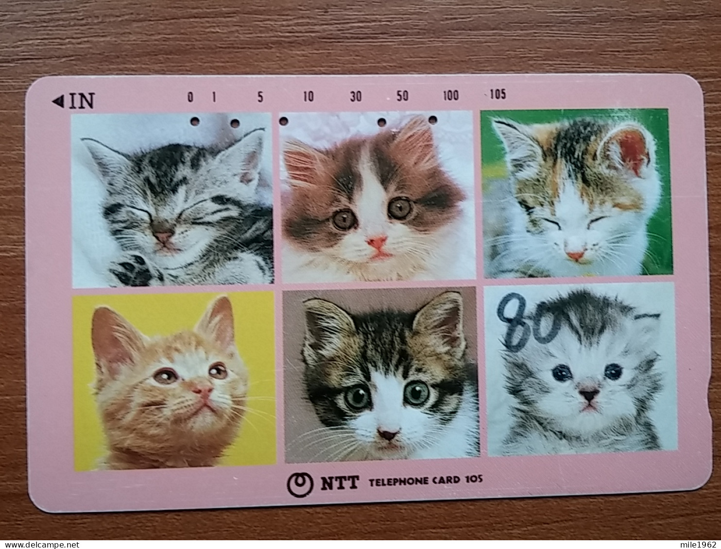 T-361 - JAPAN, Japon, Nipon, TELECARD, PHONECARD, Cat, Chat, NTT 331-089 - Gatti