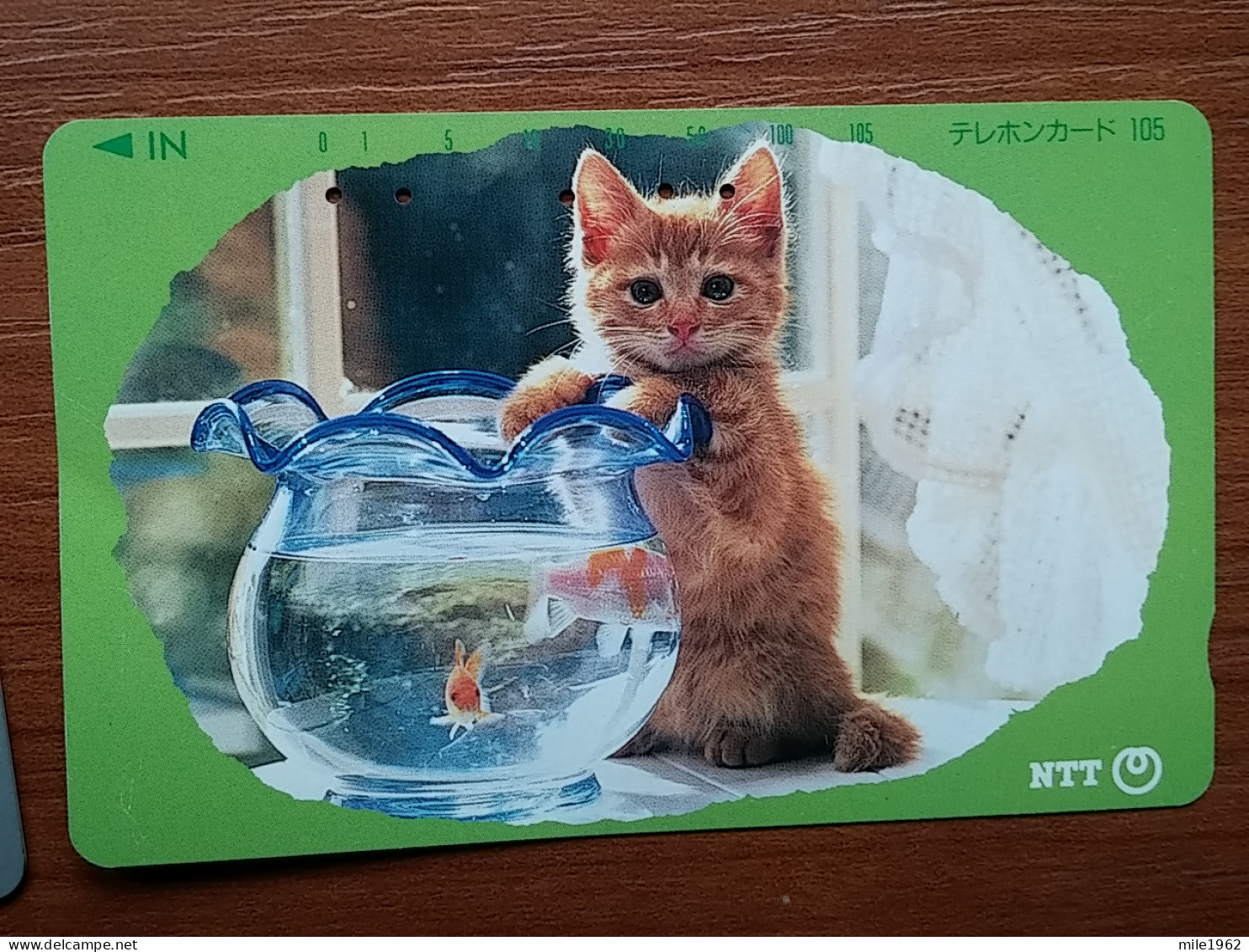 T-361 - JAPAN, Japon, Nipon, TELECARD, PHONECARD, Cat, Chat, NTT 331-196 - Katten