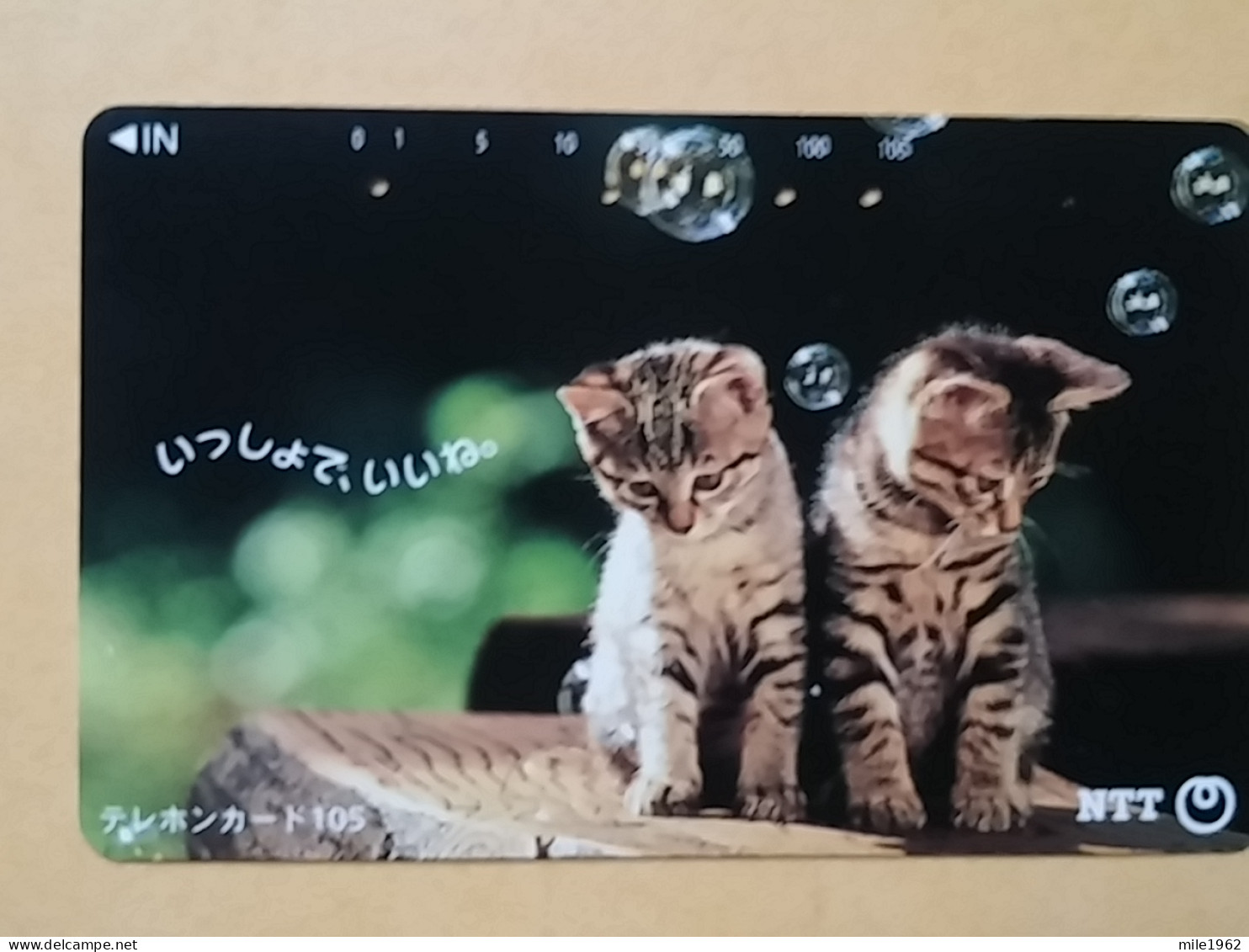 T-370 - JAPAN, Japon, Nipon, TELECARD, PHONECARD, Cat, Chat, NTT 111-036 - Cats