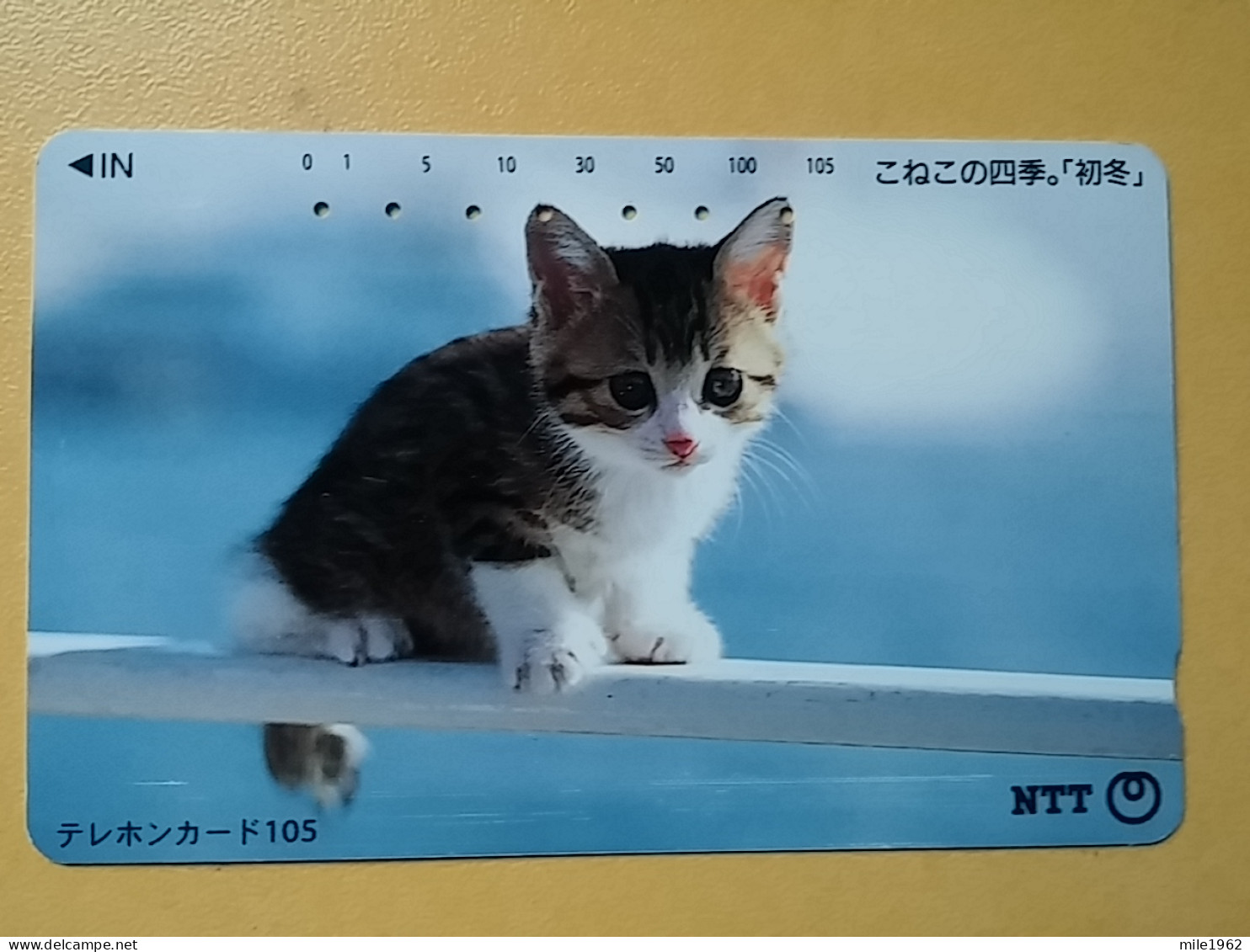 T-370 - JAPAN, Japon, Nipon, TELECARD, PHONECARD, Cat, Chat, NTT 111-037 - Chats