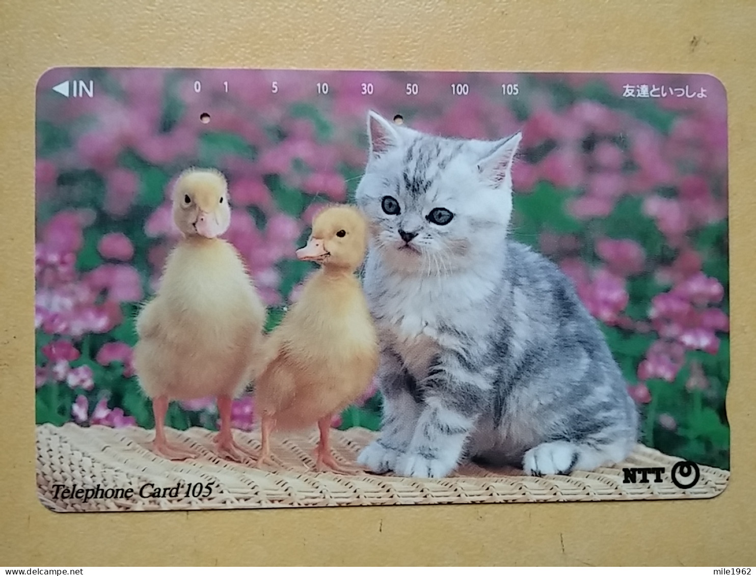 T-370 - JAPAN, Japon, Nipon, TELECARD, PHONECARD, Cat, Chat, NTT 111-055 - Katzen