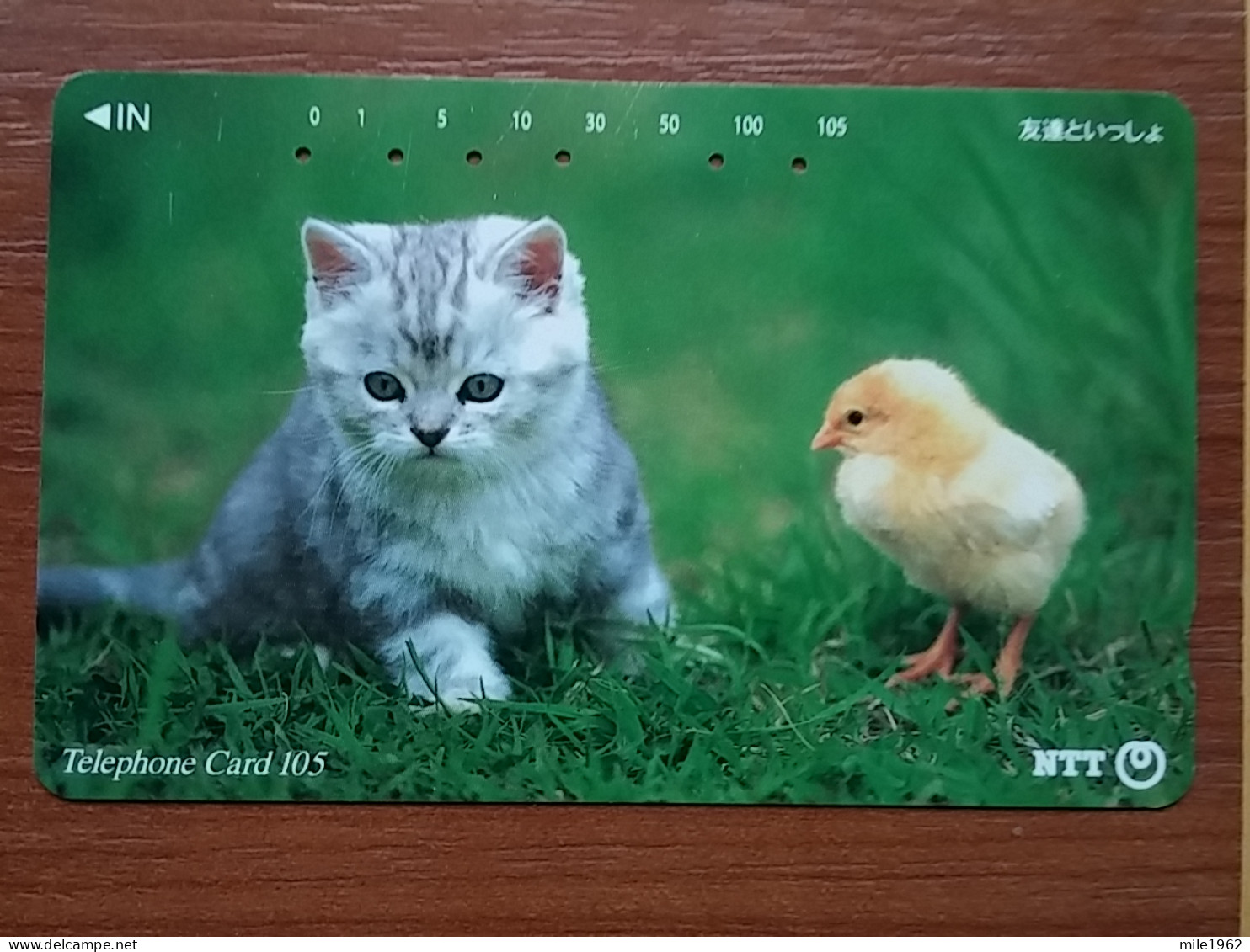 T-370 - JAPAN, Japon, Nipon, TELECARD, PHONECARD, Cat, Chat, NTT 111-062 - Gatos