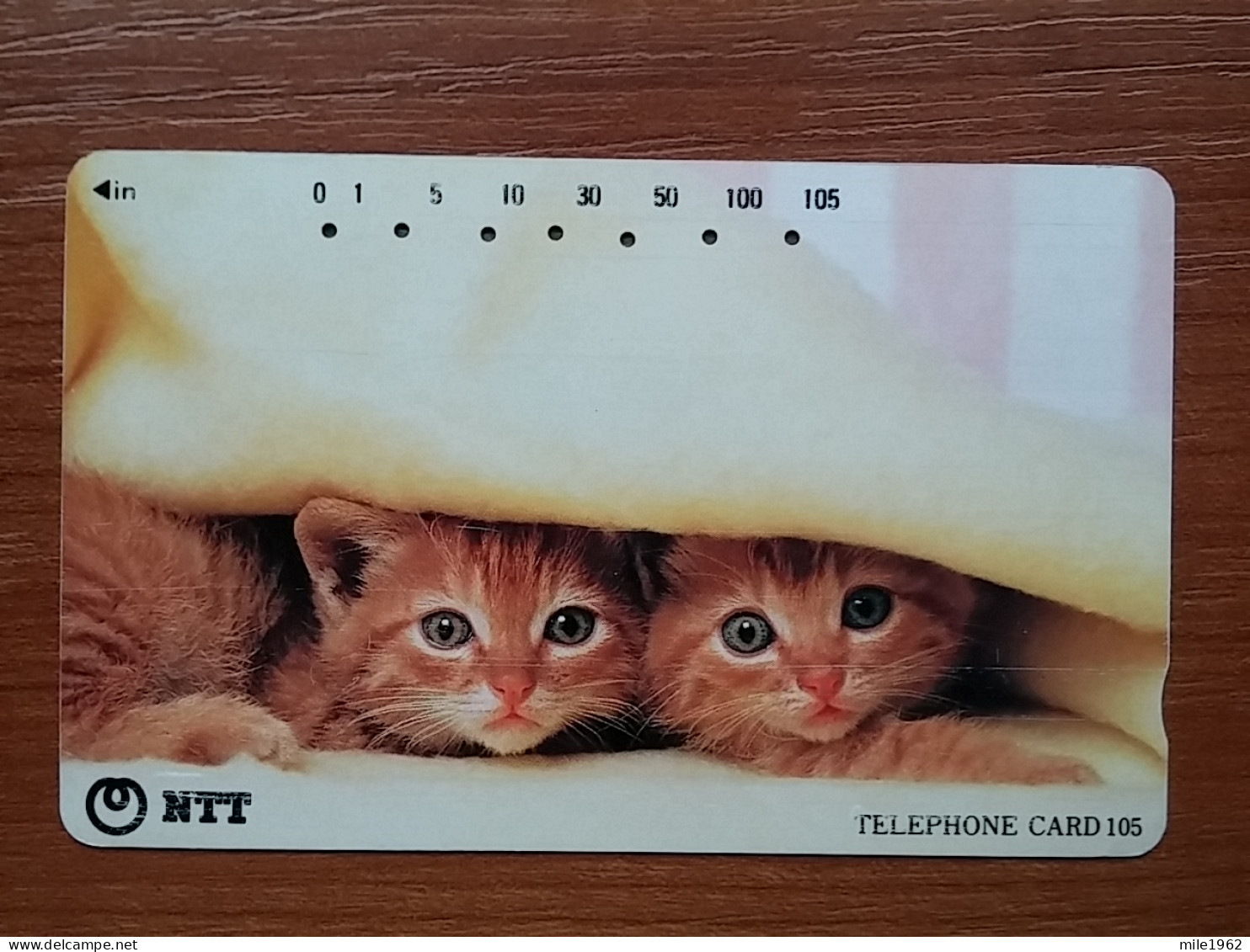 T-370 - JAPAN, Japon, Nipon, TELECARD, PHONECARD, Cat, Chat, NTT 111-076 - Gatti