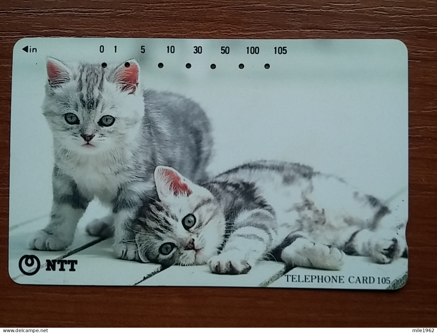 T-370 - JAPAN, Japon, Nipon, TELECARD, PHONECARD, Cat, Chat, NTT 111-078 - Chats