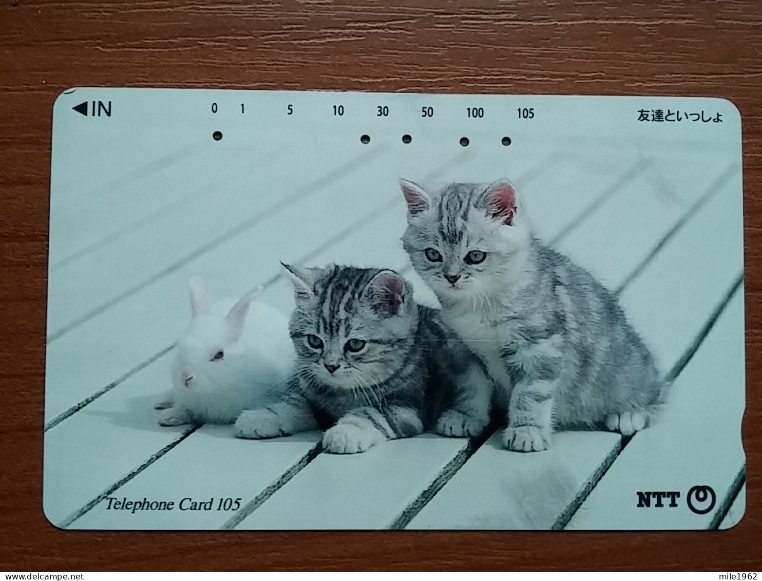 T-370 - JAPAN, Japon, Nipon, TELECARD, PHONECARD, Cat, Chat, NTT 111-088 - Gatti