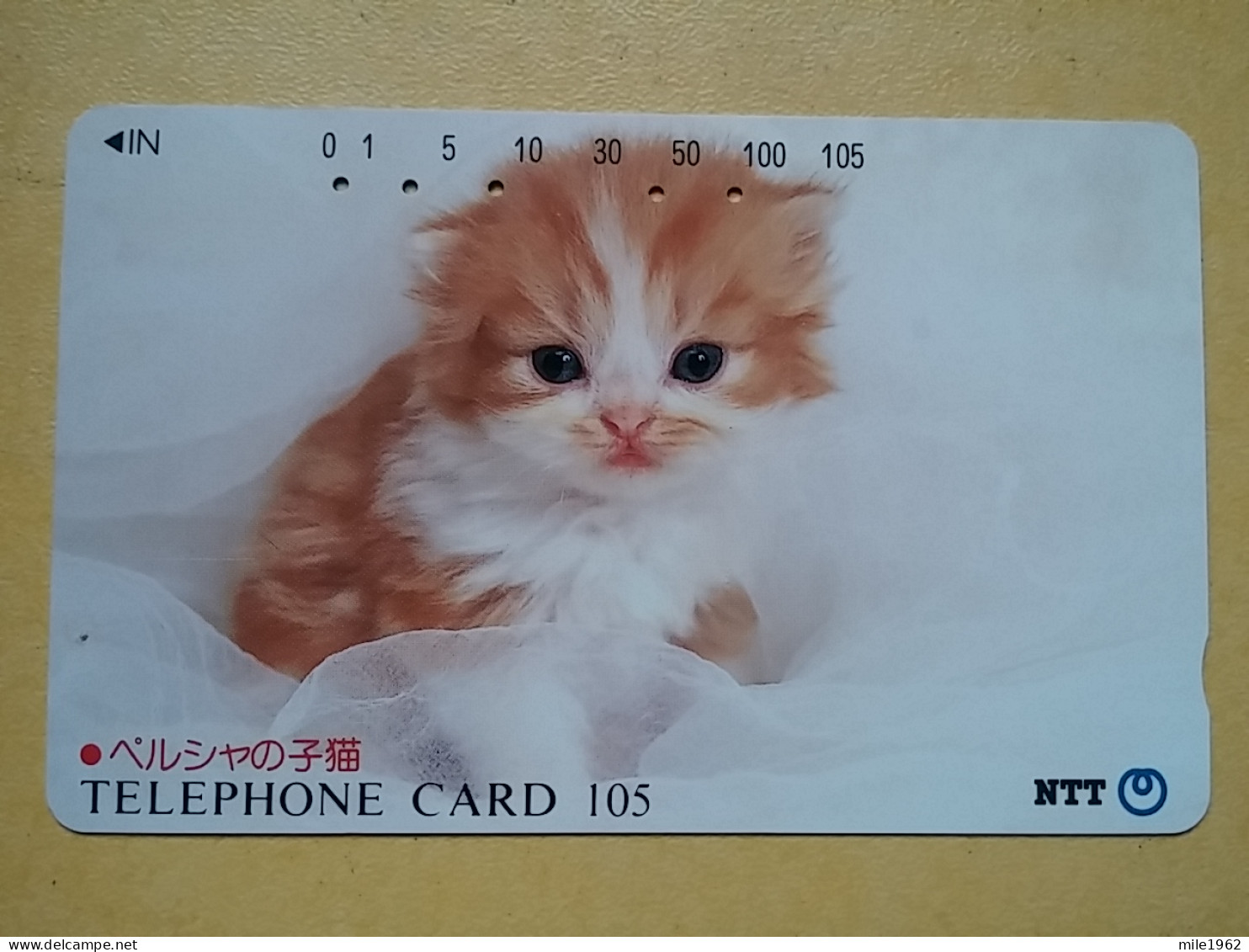 T-370 - JAPAN, Japon, Nipon, TELECARD, PHONECARD, Cat, Chat, NTT 330-379 - Katzen