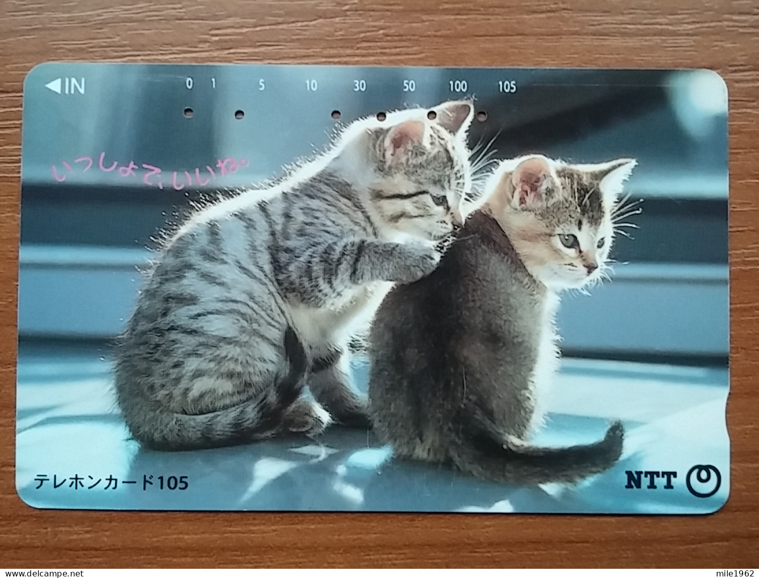 T-371 - JAPAN, Japon, Nipon, TELECARD, PHONECARD, Cat, Chat, NTT 111-012 - Katzen