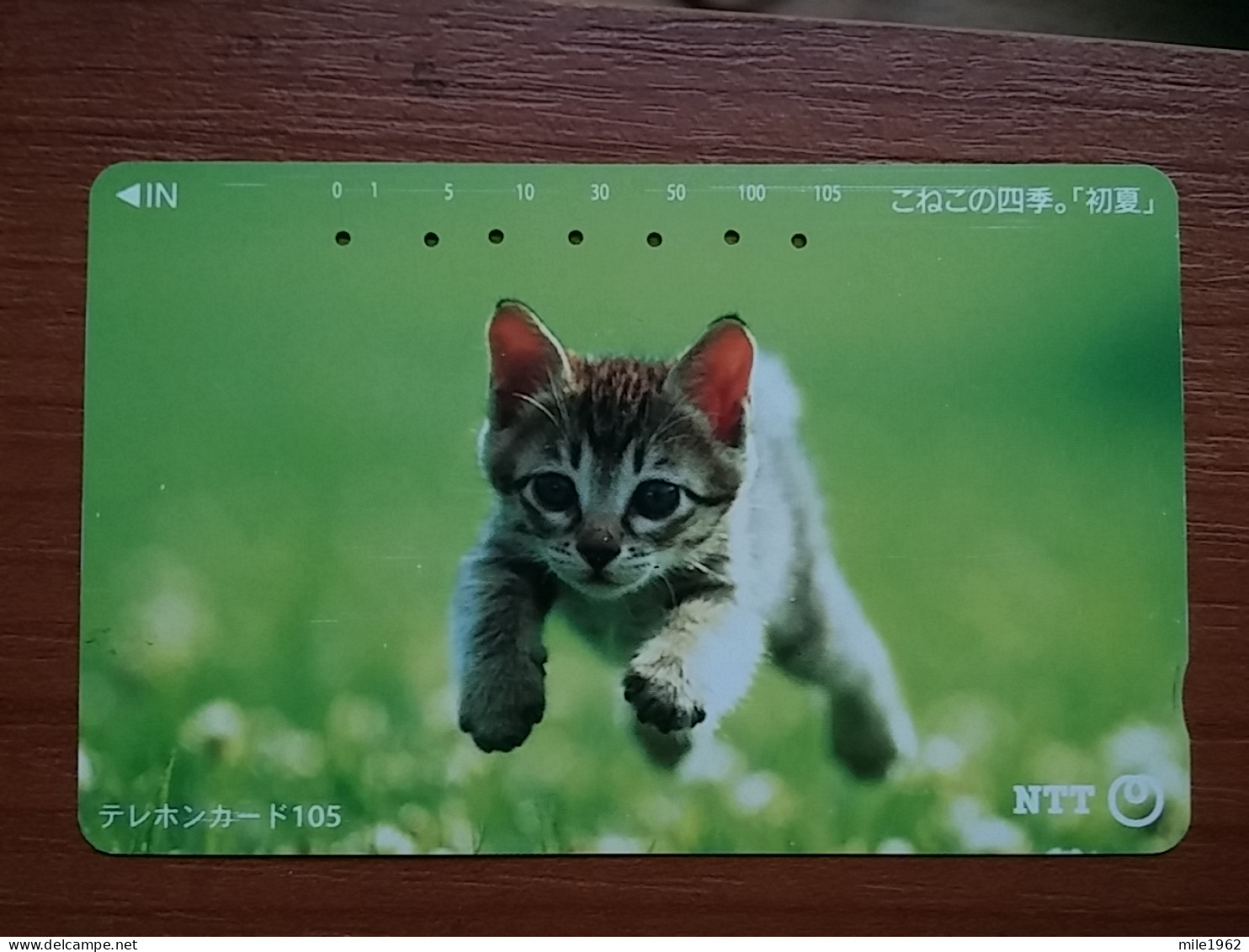 T-371 - JAPAN, Japon, Nipon, TELECARD, PHONECARD, Cat, Chat, NTT 111-021 - Katten