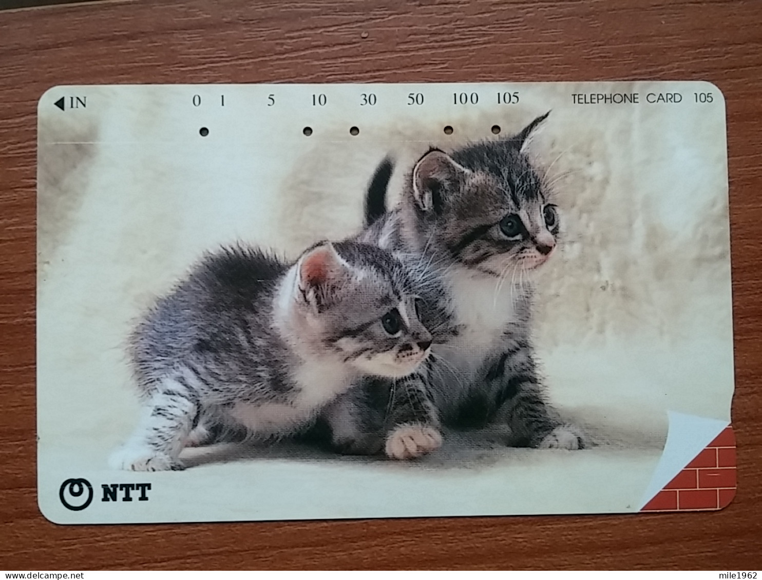 T-371 - JAPAN, Japon, Nipon, TELECARD, PHONECARD, Cat, Chat, NTT 231-223 - Katzen