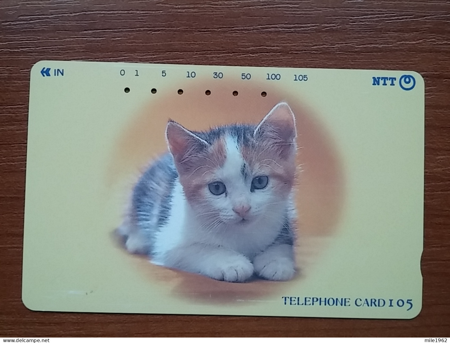 T-371 - JAPAN, Japon, Nipon, TELECARD, PHONECARD, Cat, Chat, NTT 231-226 - Cats