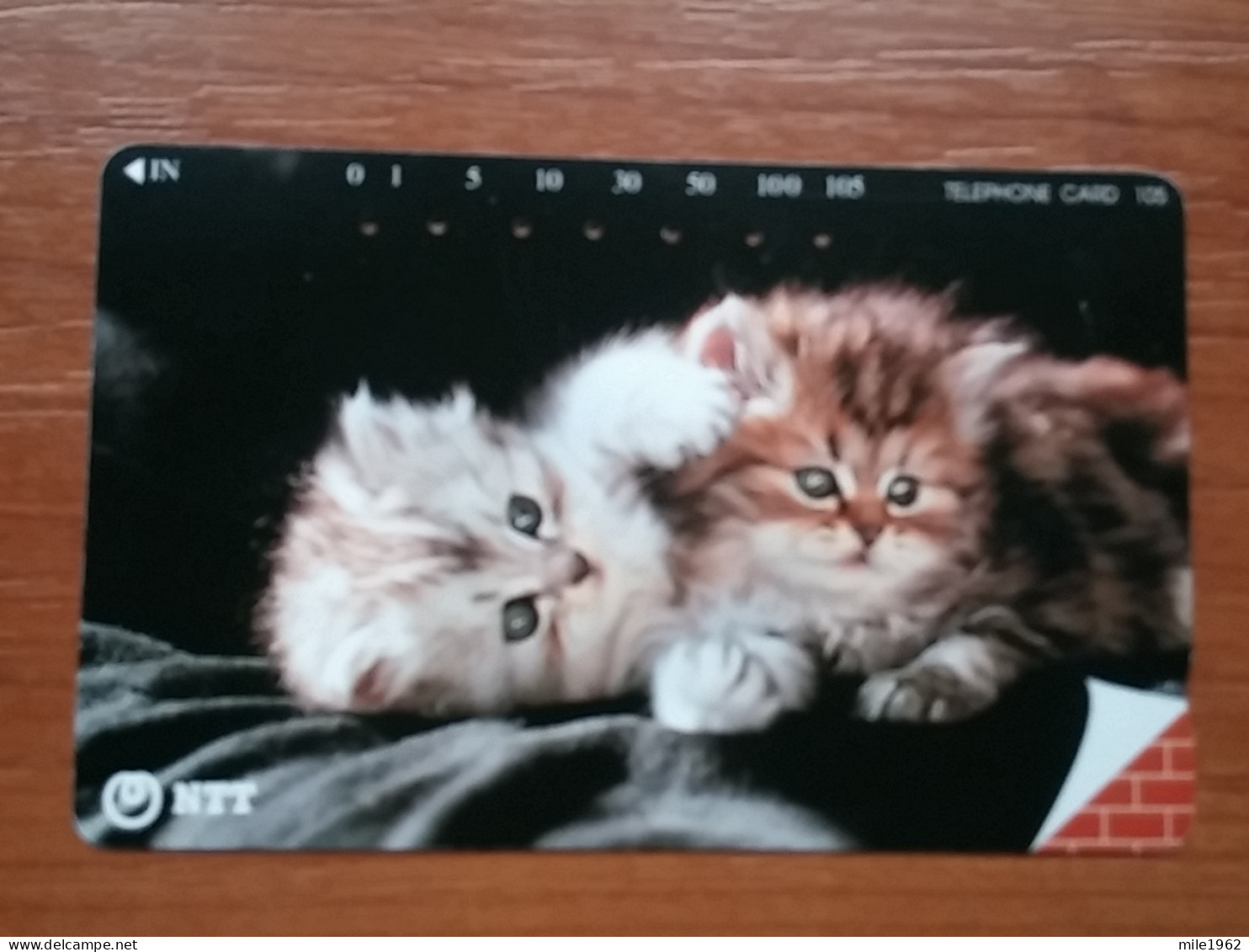 T-371 - JAPAN, Japon, Nipon, TELECARD, PHONECARD, Cat, Chat, NTT 231-247 - Gatos