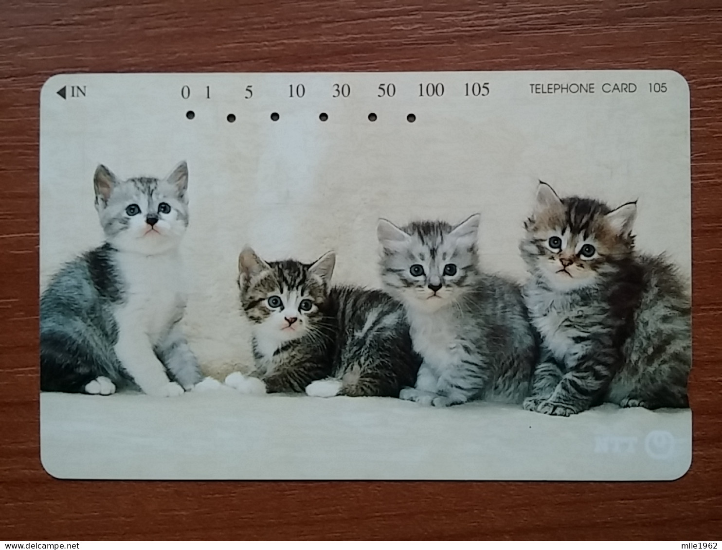 T-371 - JAPAN, Japon, Nipon, TELECARD, PHONECARD, Cat, Chat, NTT 231-289 - Cats