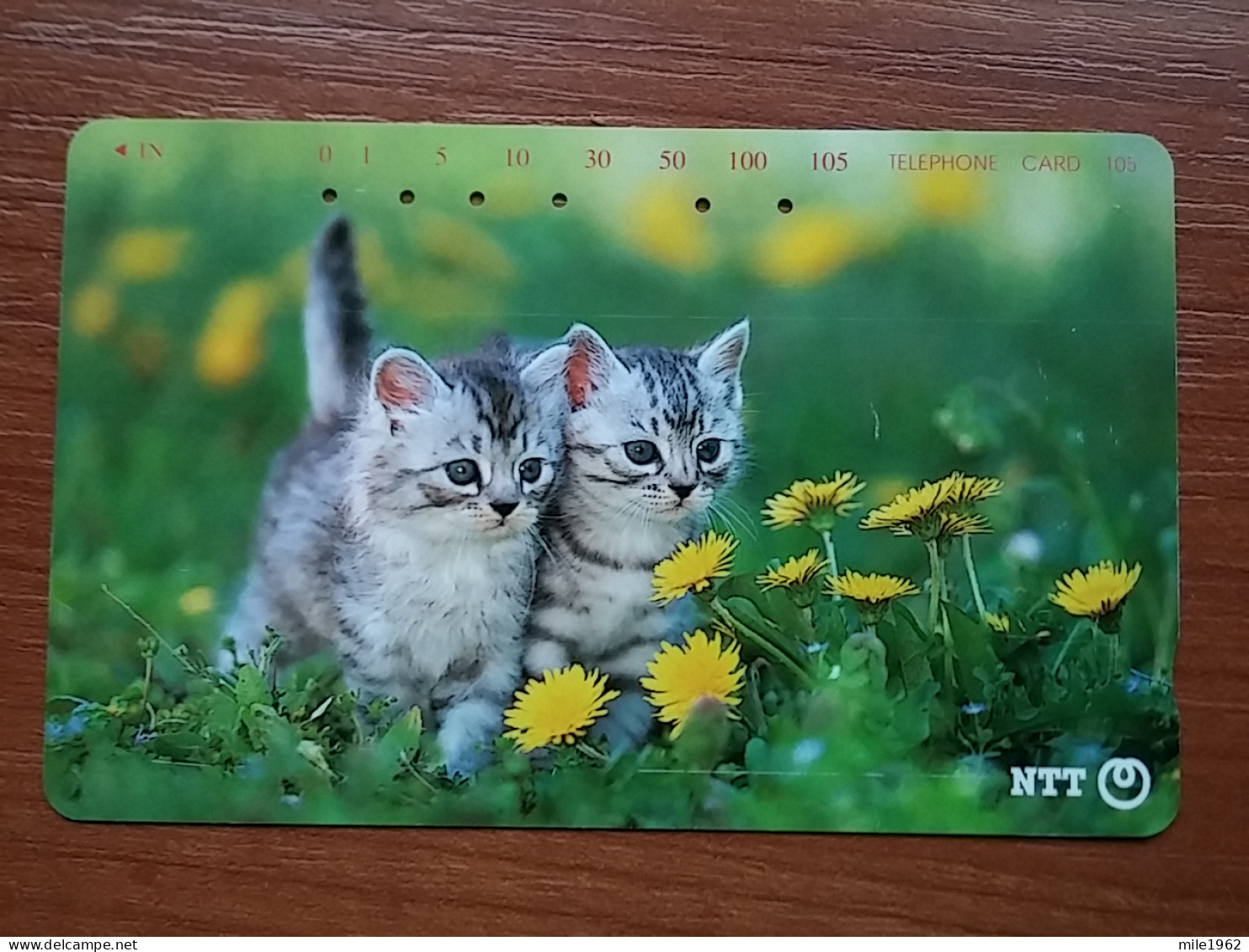 T-371 - JAPAN, Japon, Nipon, TELECARD, PHONECARD, Cat, Chat, NTT 231-393 - Gatti