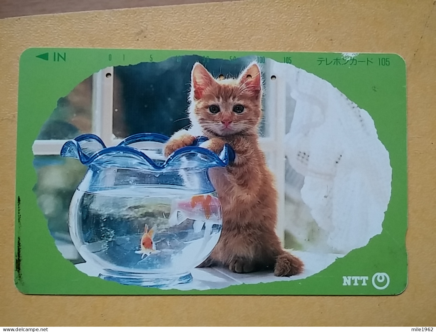 T-371 - JAPAN, Japon, Nipon, TELECARD, PHONECARD, Cat, Chat, NTT 331-196 - Katten