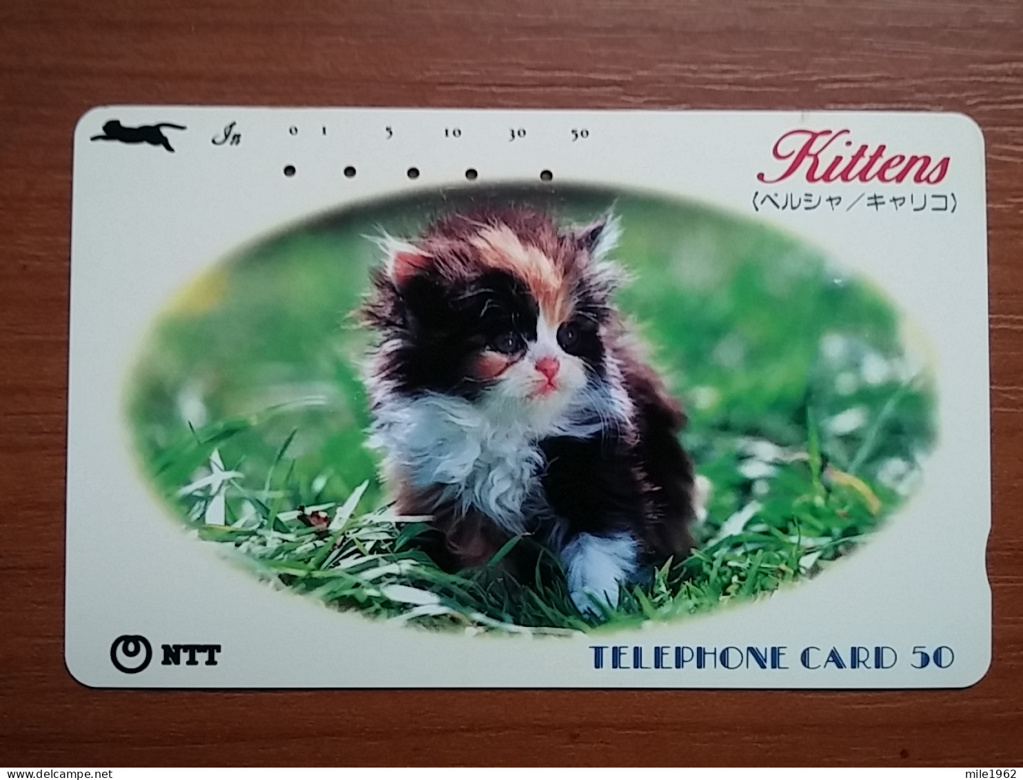 T-372 - JAPAN, Japon, Nipon, TELECARD, PHONECARD, Cat, Chat, NTT 250-357 - Cats