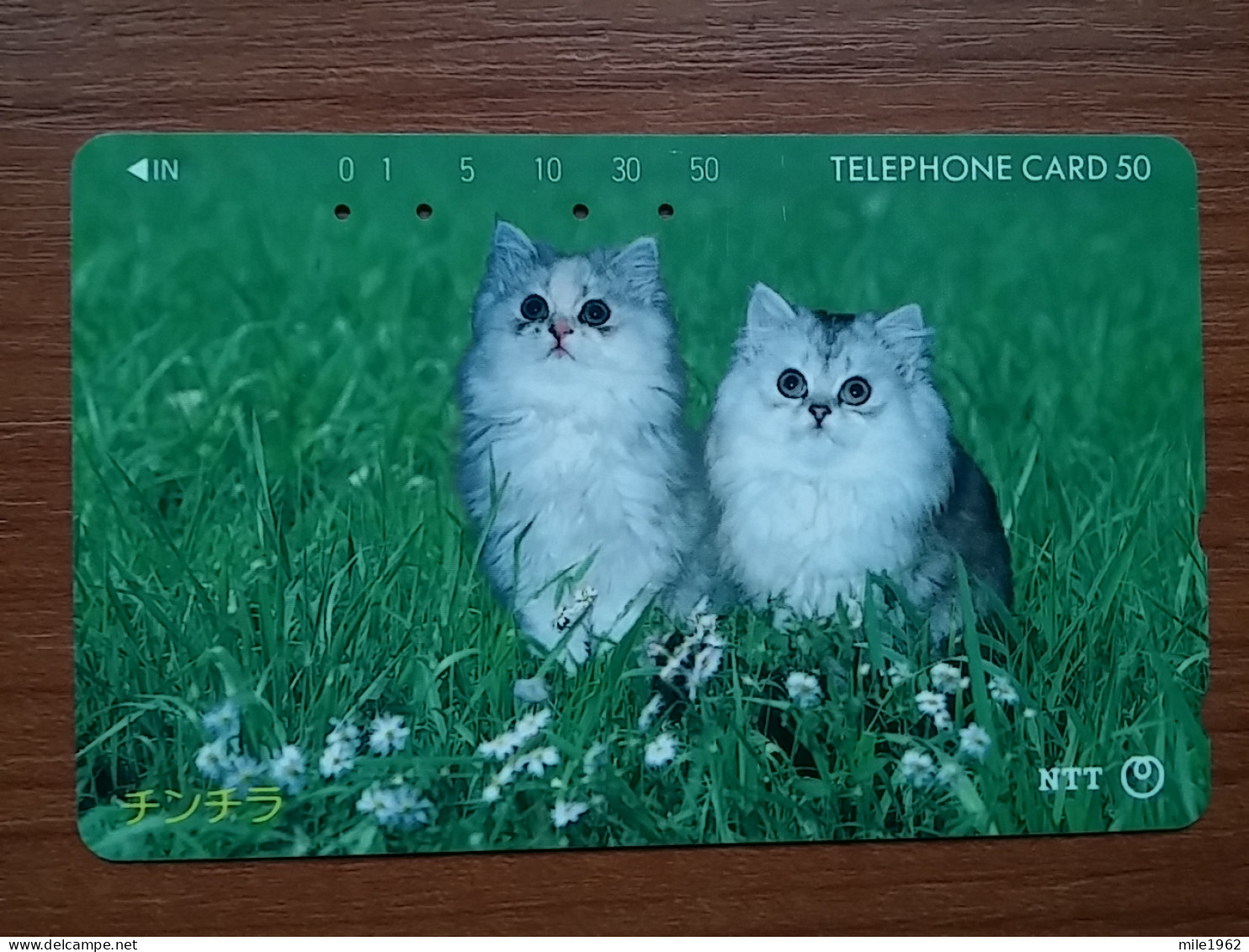 T-372 - JAPAN, Japon, Nipon, TELECARD, PHONECARD, Cat, Chat, NTT 270-205 - Katten