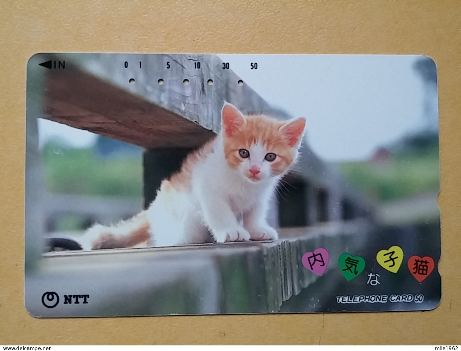 T-372 - JAPAN, Japon, Nipon, TELECARD, PHONECARD, Cat, Chat, NTT 271-141 - Katten