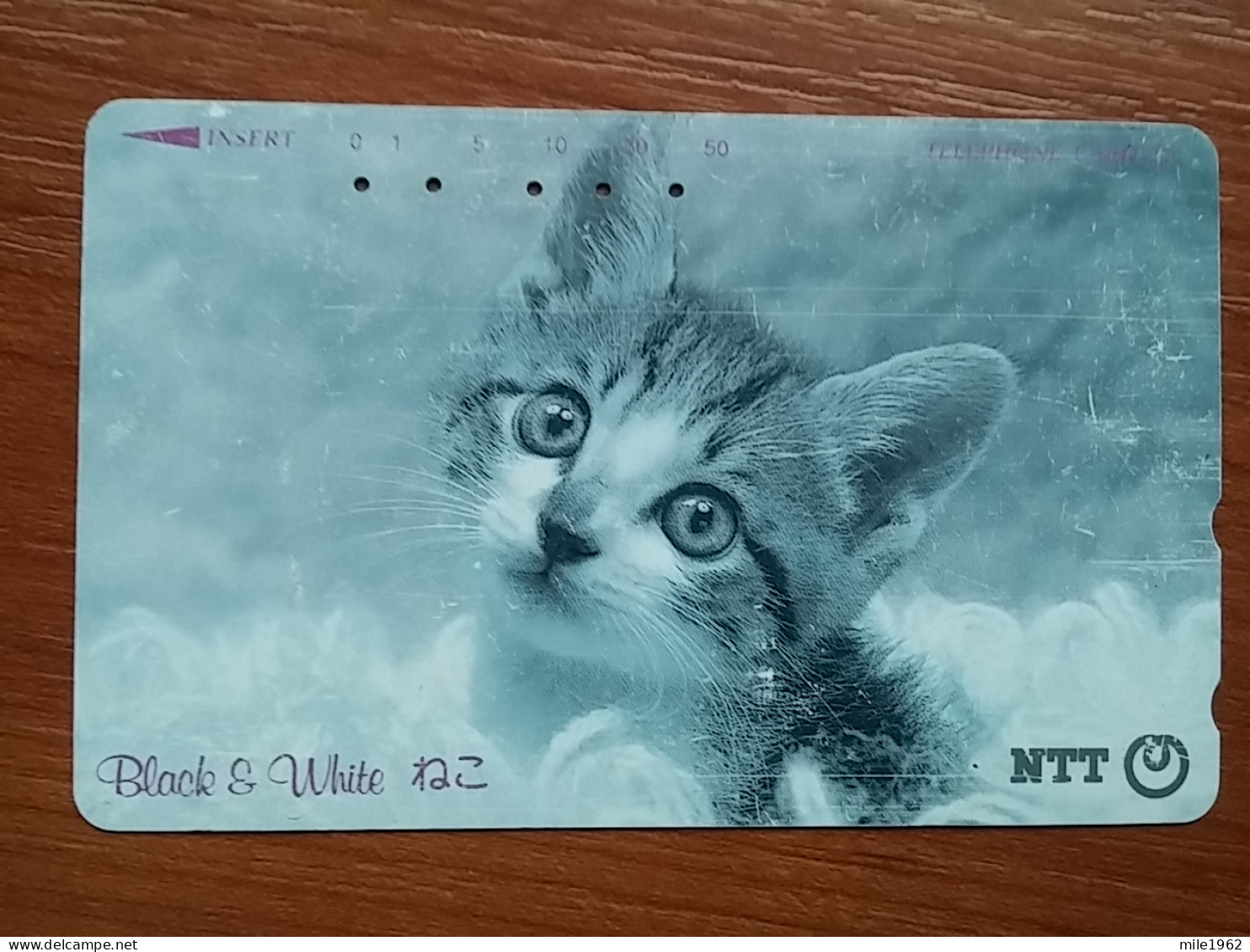 T-372 - JAPAN, Japon, Nipon, TELECARD, PHONECARD, Cat, Chat, NTT 291-214 - Chats