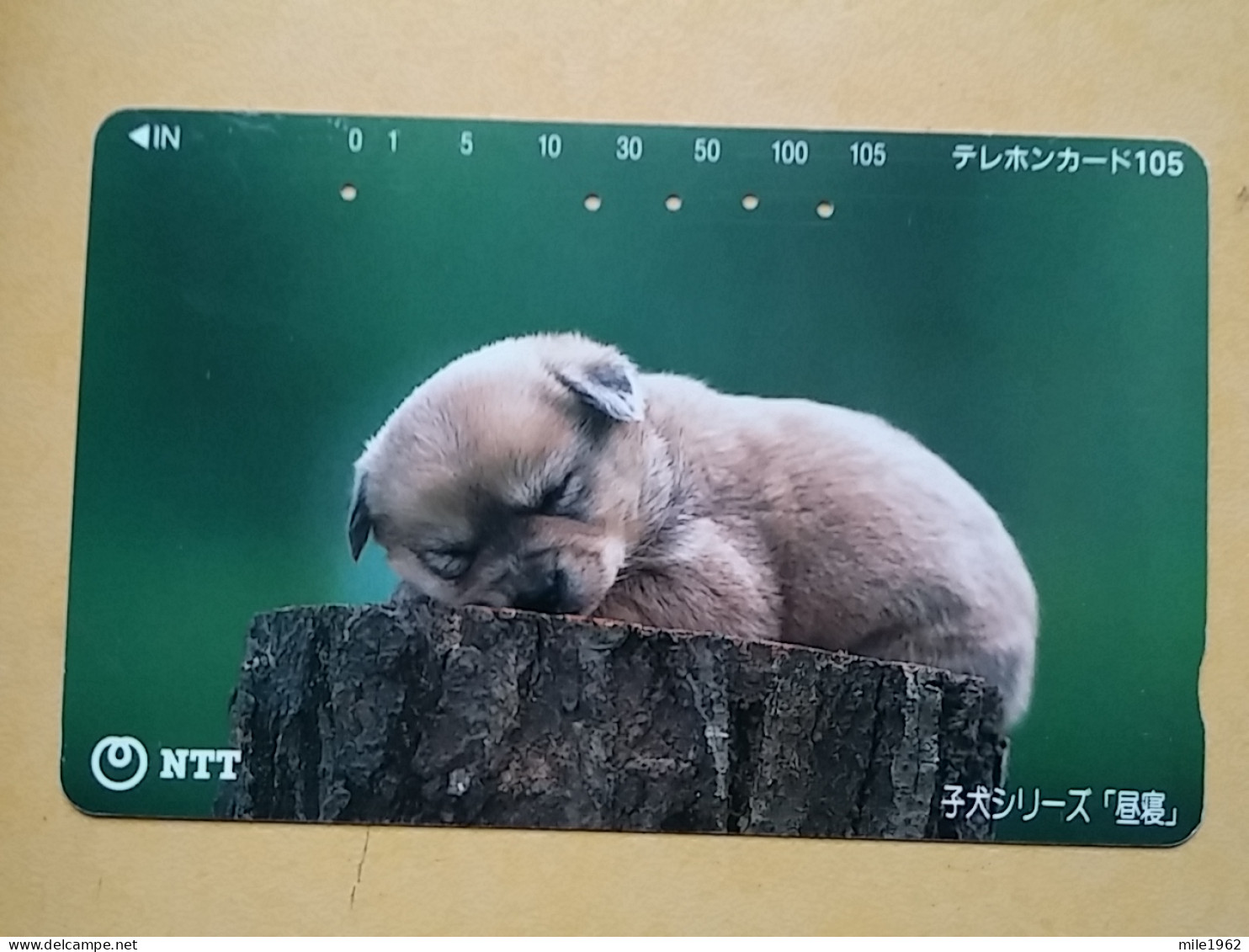 T-373 - JAPAN, Japon, Nipon, TELECARD, PHONECARD, Dog, Chien, NTT 111-016 - Chiens