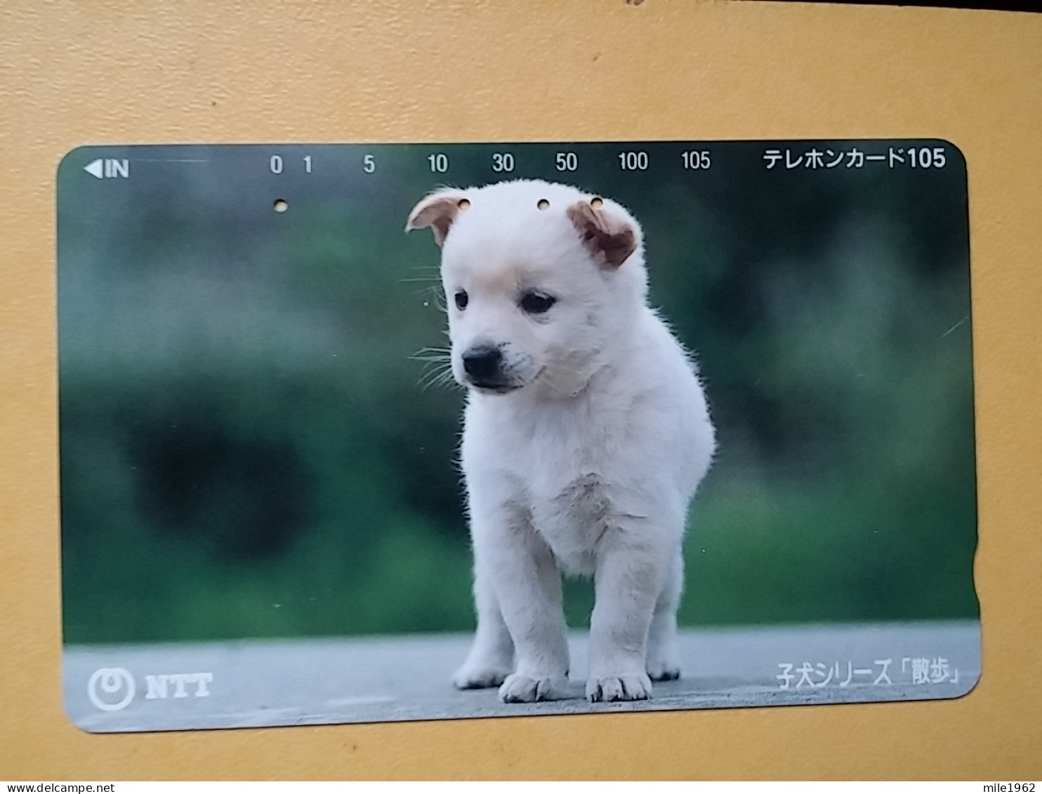 T-373 - JAPAN, Japon, Nipon, TELECARD, PHONECARD, Dog, Chien, NTT 111-024 - Chiens