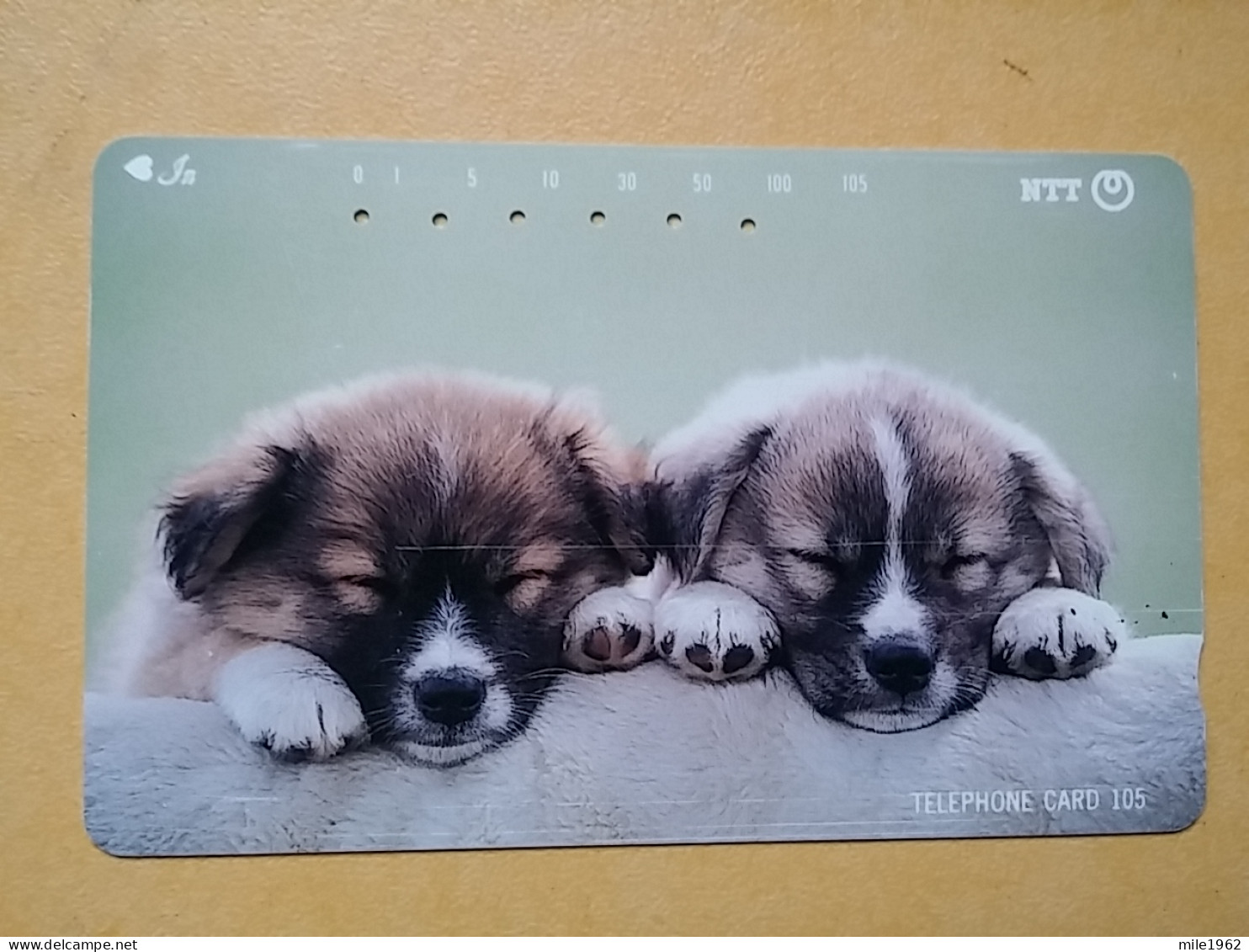 T-373 - JAPAN, Japon, Nipon, TELECARD, PHONECARD, Dog, Chien, NTT 111-025 - Dogs