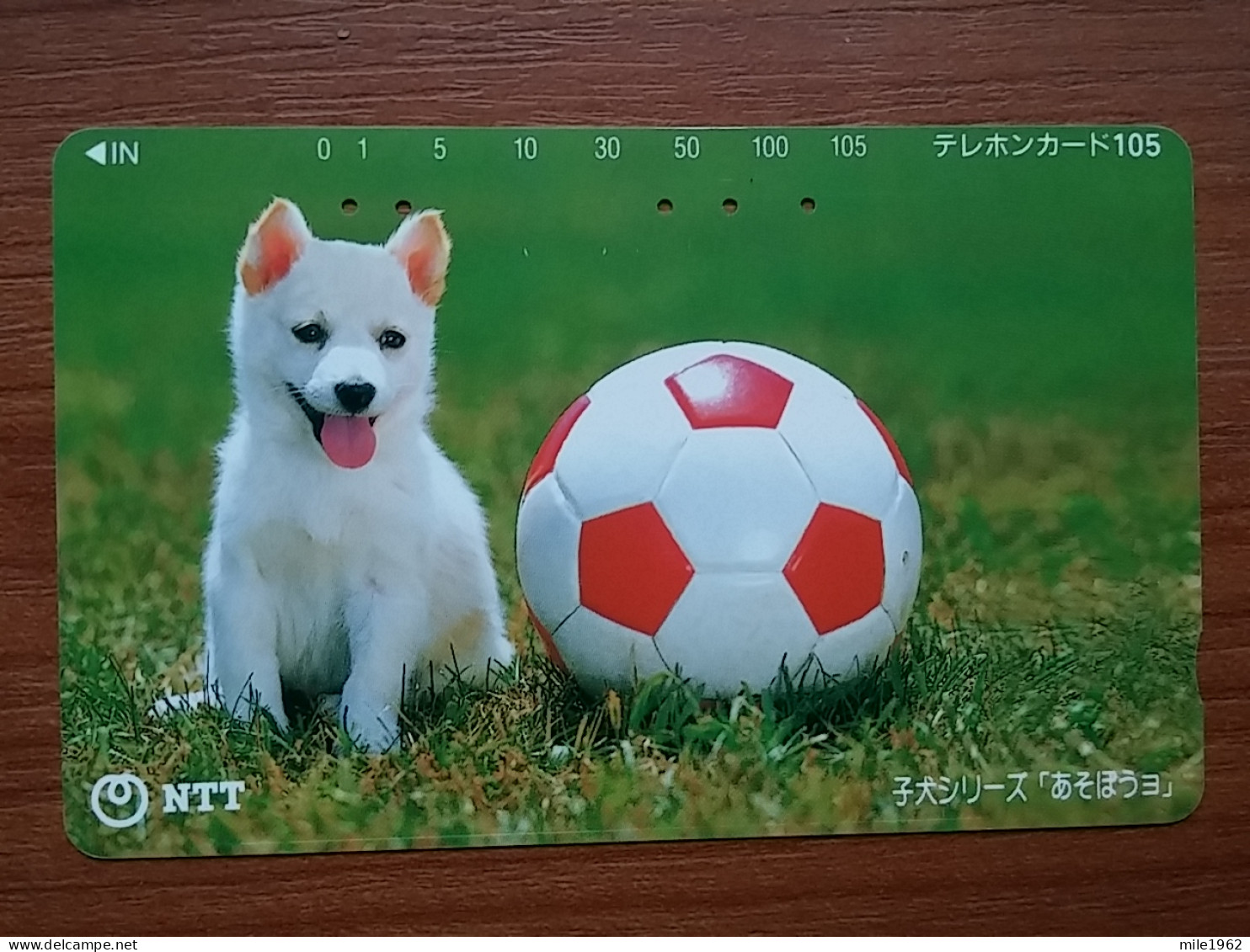 T-373 - JAPAN, Japon, Nipon, TELECARD, PHONECARD, Dog, Chien, NTT 111-032, Football - Hunde