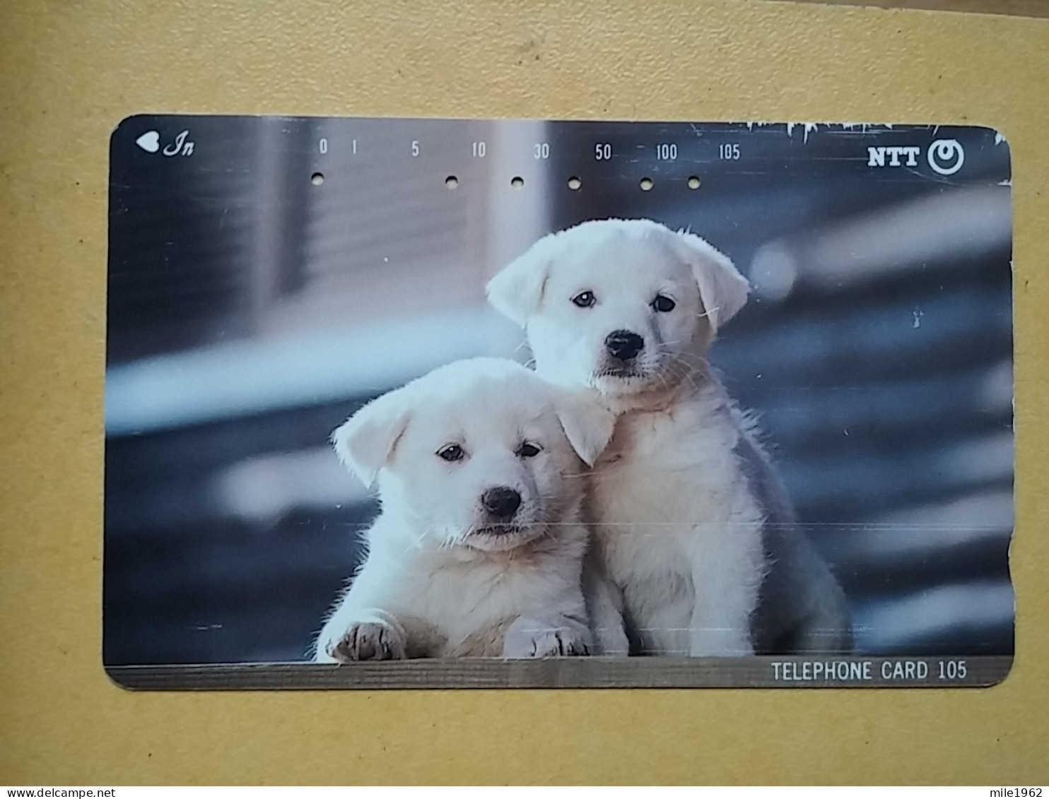 T-373 - JAPAN, Japon, Nipon, TELECARD, PHONECARD, Dog, Chien, NTT 111-033 - Chiens