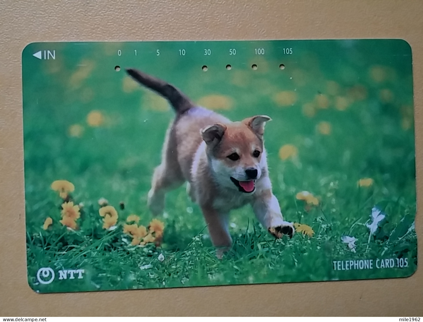 T-373 - JAPAN, Japon, Nipon, TELECARD, PHONECARD, Dog, Chien, NTT 111-092 - Chiens