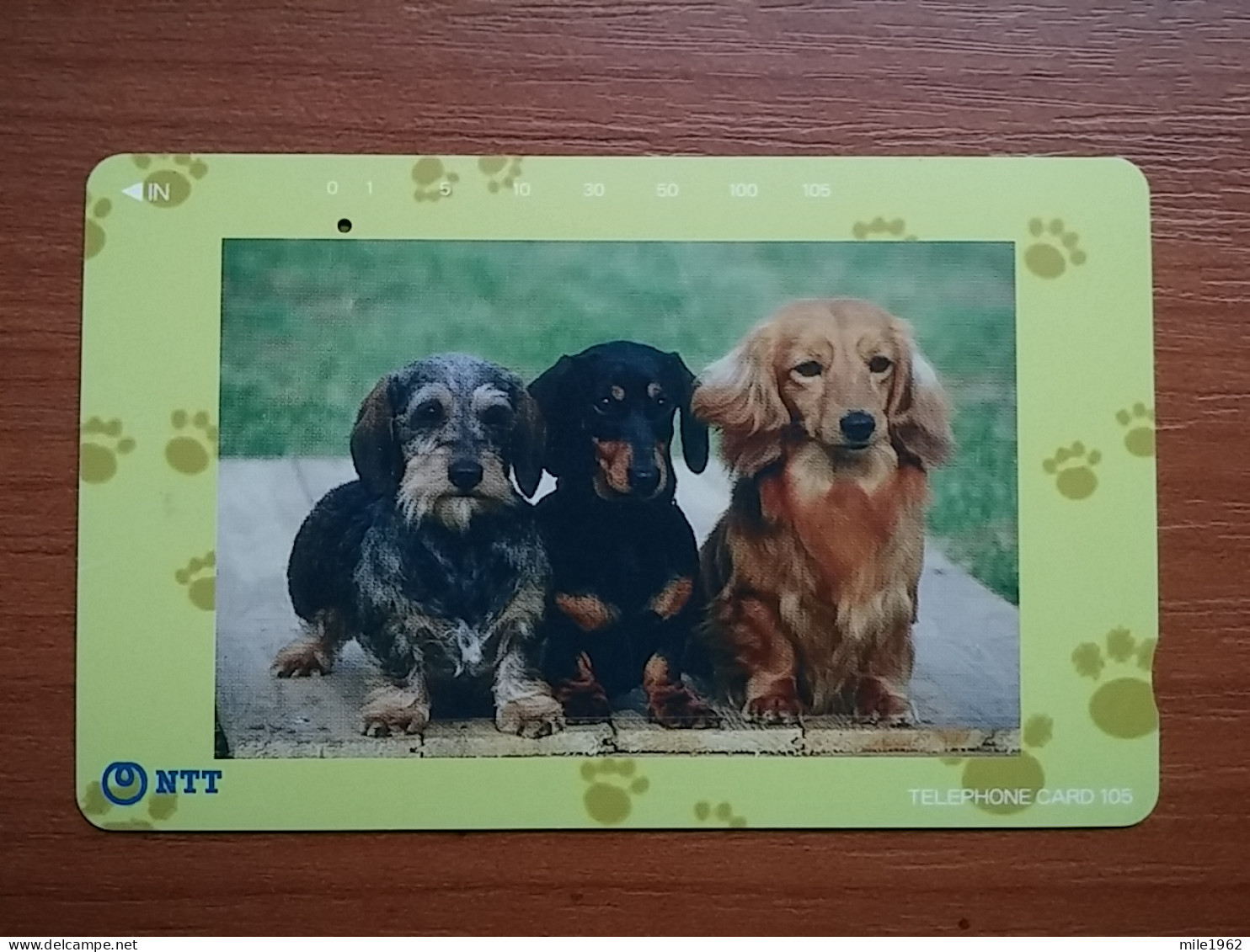 T-374 - JAPAN, Japon, Nipon, TELECARD, PHONECARD, Dog, Chien, NTT 231-254 - Perros