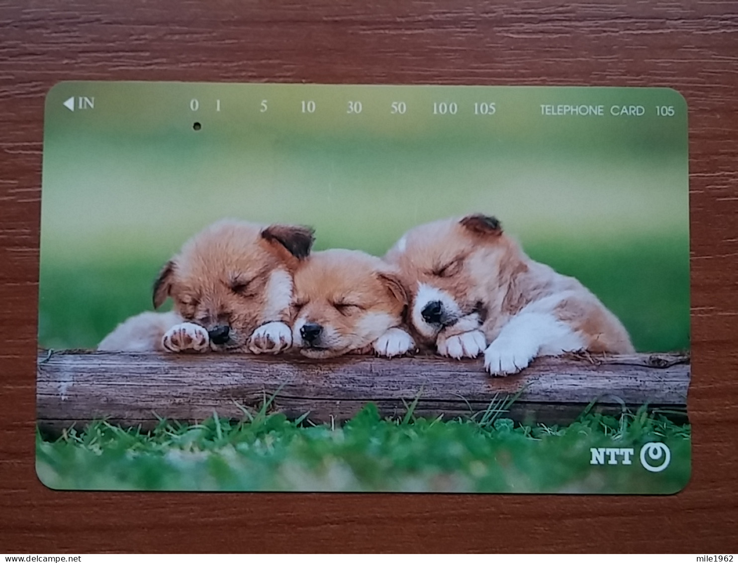 T-374 - JAPAN, Japon, Nipon, TELECARD, PHONECARD, Dog, Chien, NTT 231-349 - Chiens