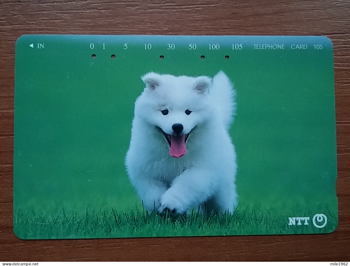 T-374 - JAPAN, Japon, Nipon, TELECARD, PHONECARD, Dog, Chien, NTT 231-365 - Chiens