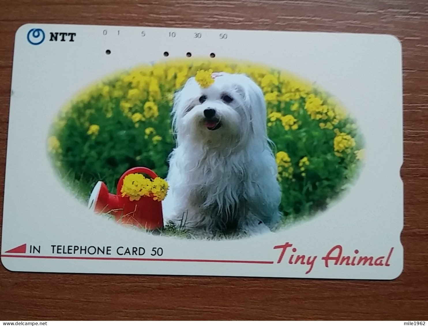 T-374 - JAPAN, Japon, Nipon, TELECARD, PHONECARD, Dog, Chien, NTT 290-197 - Chiens