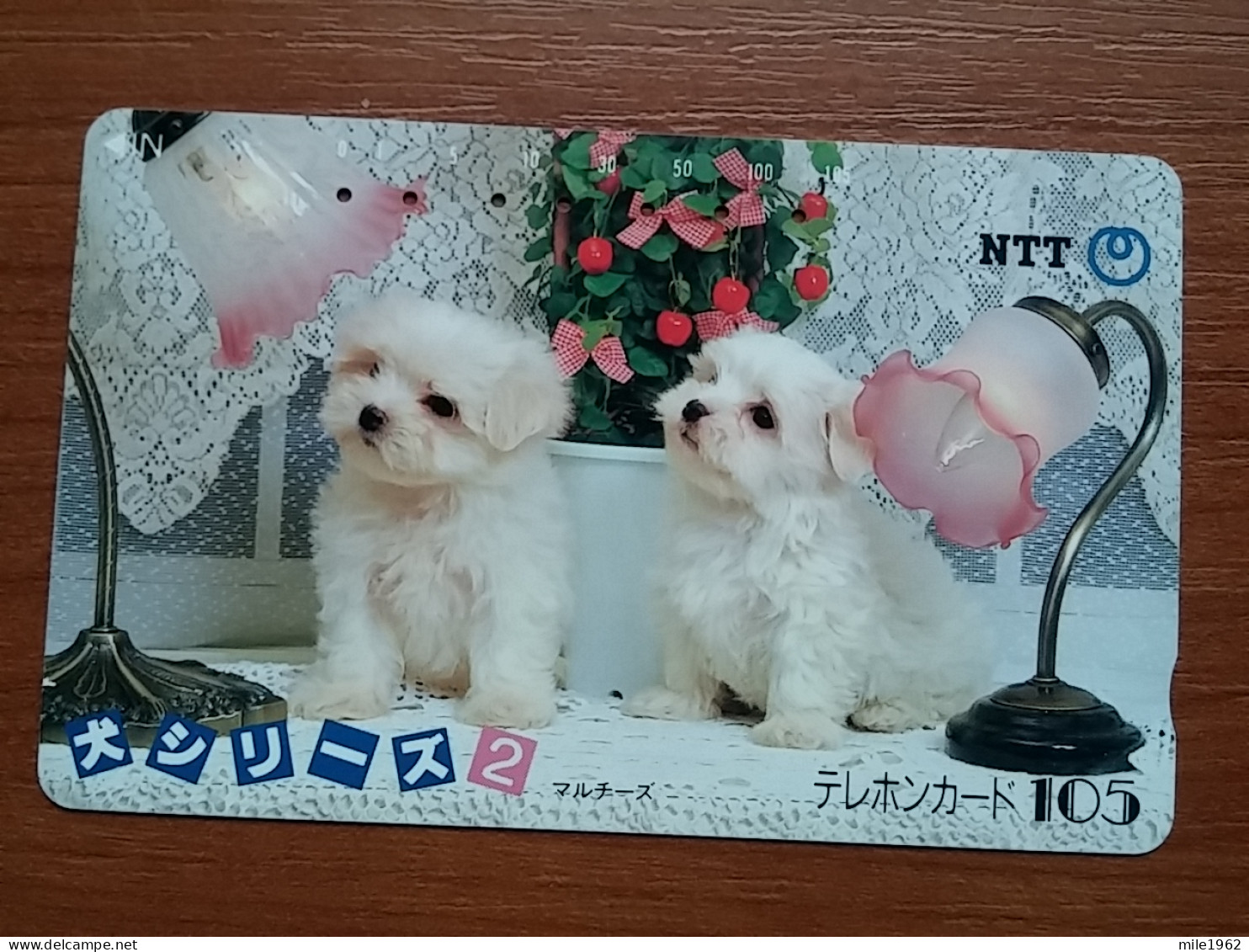 T-374 - JAPAN, Japon, Nipon, TELECARD, PHONECARD, Dog, Chien, NTT 290-383 - Chiens