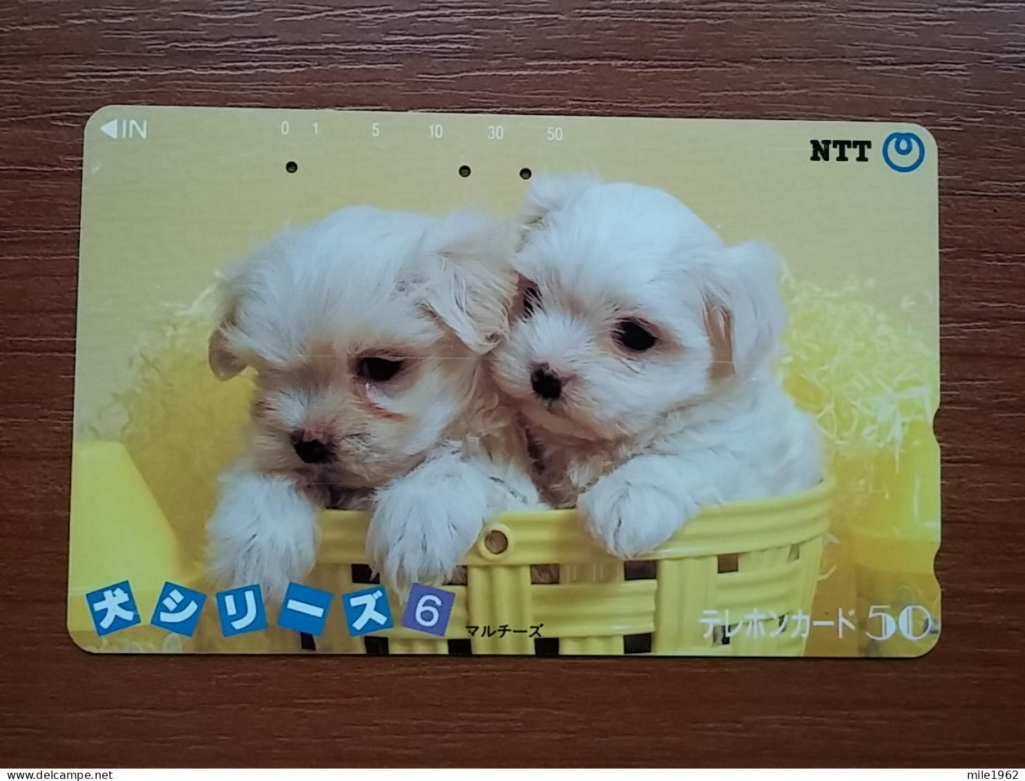 T-374 - JAPAN, Japon, Nipon, TELECARD, PHONECARD, Dog, Chien, NTT 290-386 - Chiens