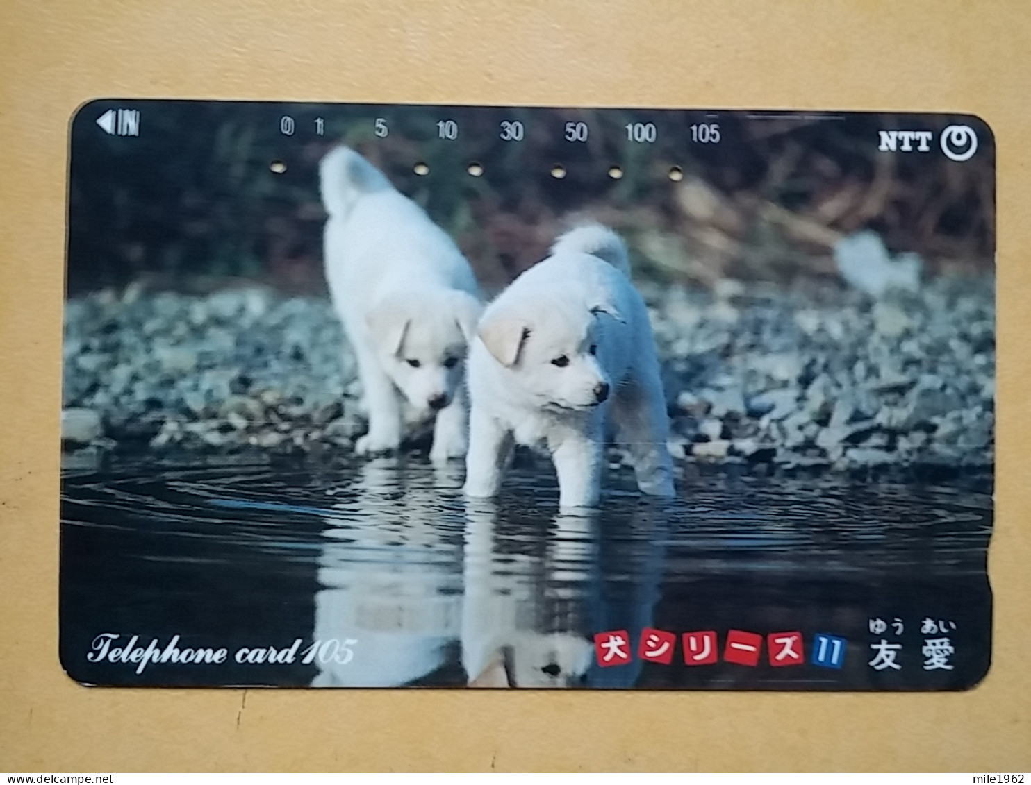 T-374 - JAPAN, Japon, Nipon, TELECARD, PHONECARD, Dog, Chien, NTT 291-203 - Hunde