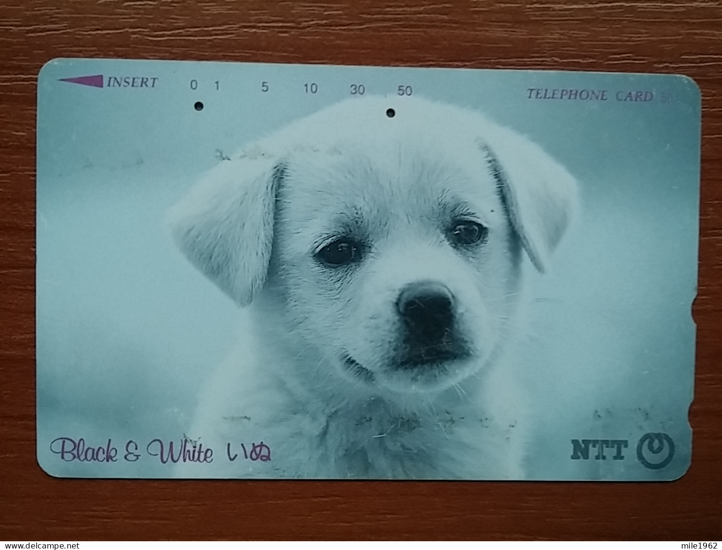 T-374 - JAPAN, Japon, Nipon, TELECARD, PHONECARD, Dog, Chien, NTT 291-213 - Chiens