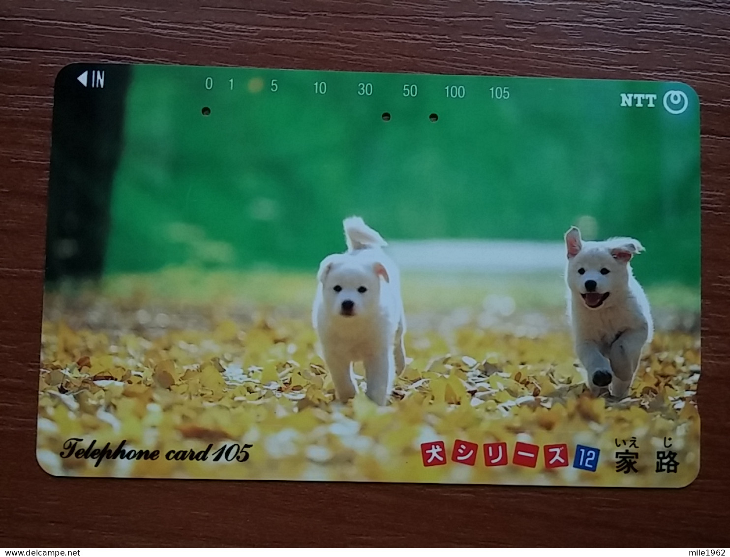 T-374 - JAPAN, Japon, Nipon, TELECARD, PHONECARD, Dog, Chien, NTT 291-237 - Honden