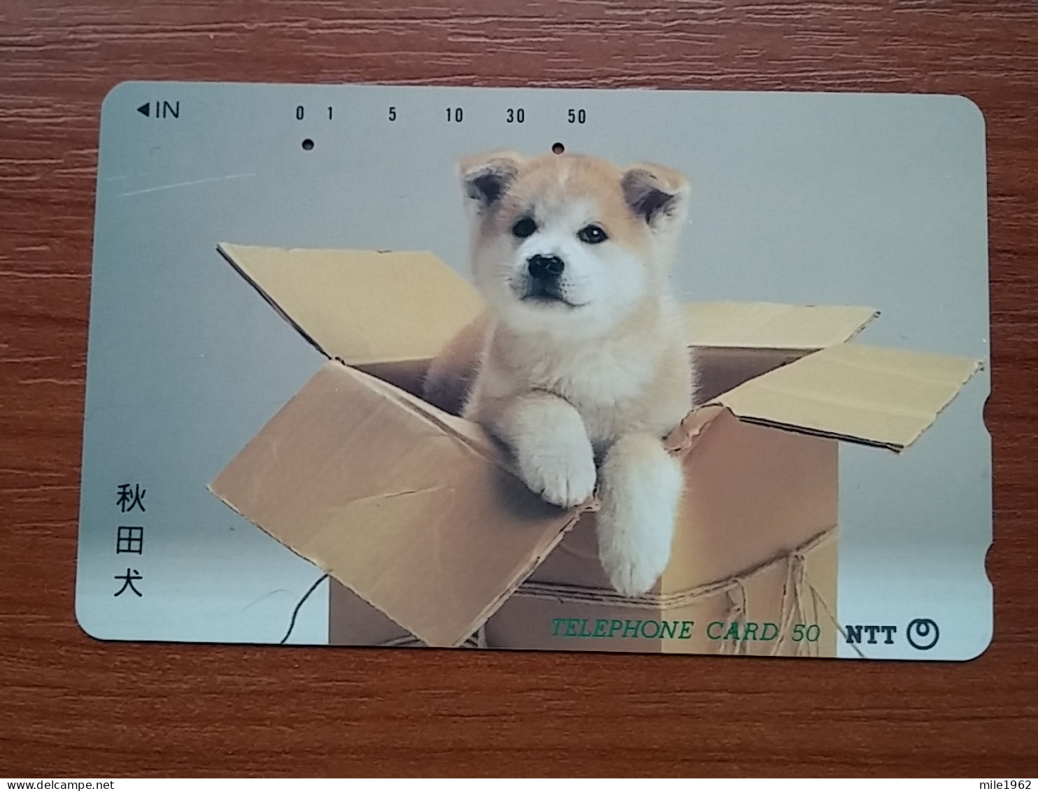 T-374 - JAPAN, Japon, Nipon, TELECARD, PHONECARD, Dog, Chien, NTT 410-210 - Chiens