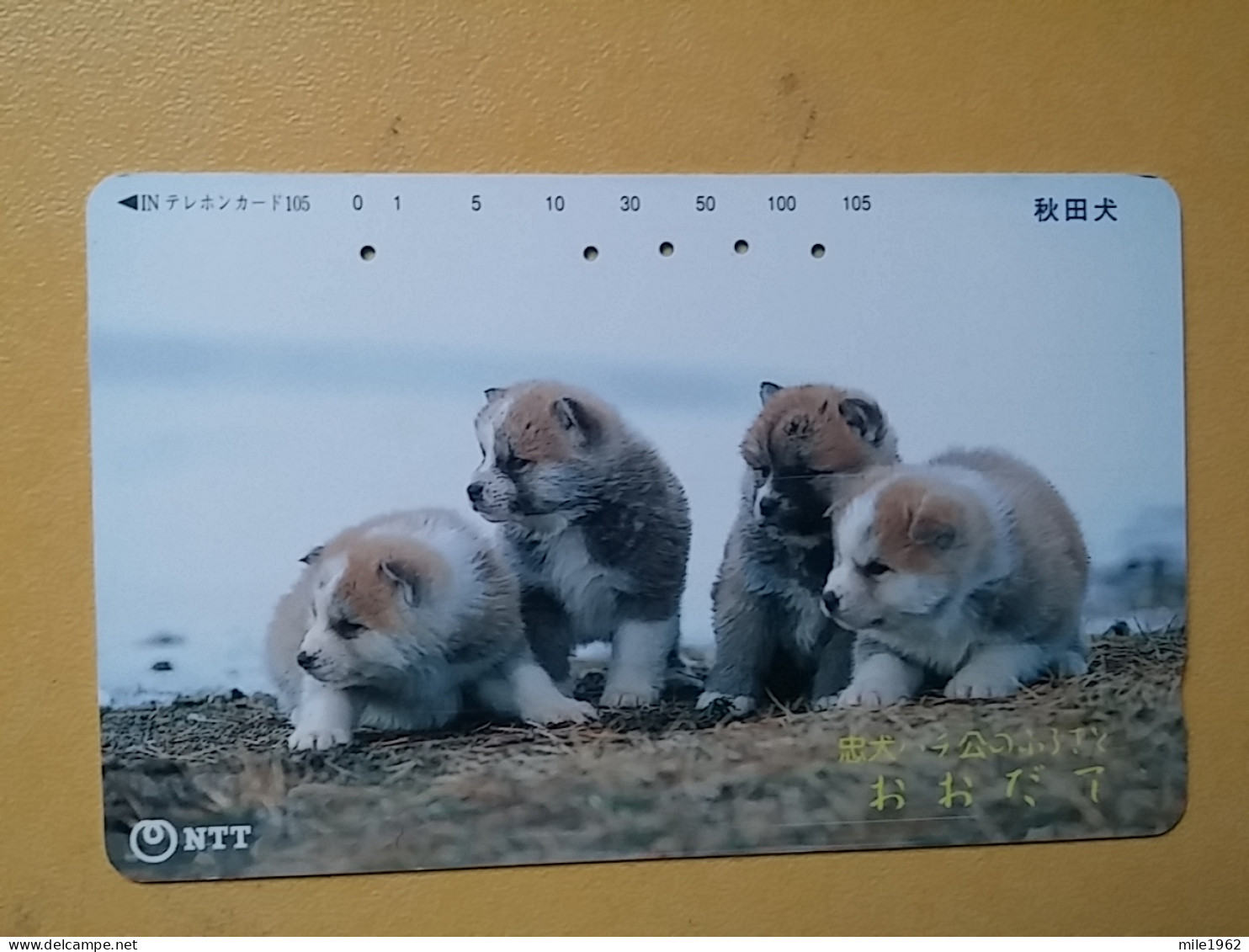 T-374 - JAPAN, Japon, Nipon, TELECARD, PHONECARD, Dog, Chien, NTT 411-259 - Dogs