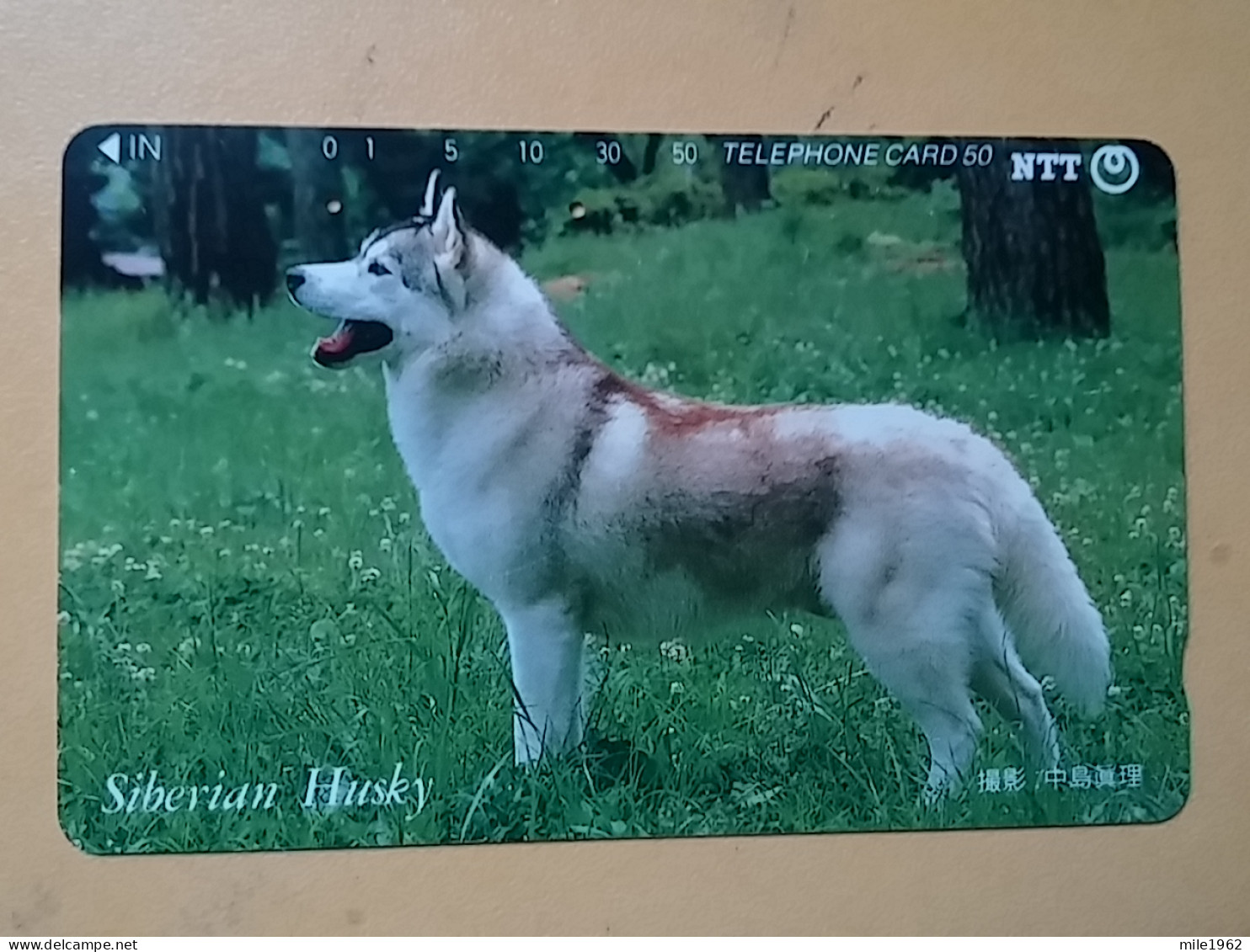 T-375 - JAPAN, Japon, Nipon, TELECARD, PHONECARD, Dog, Chien, NTT 331-096 - Chiens