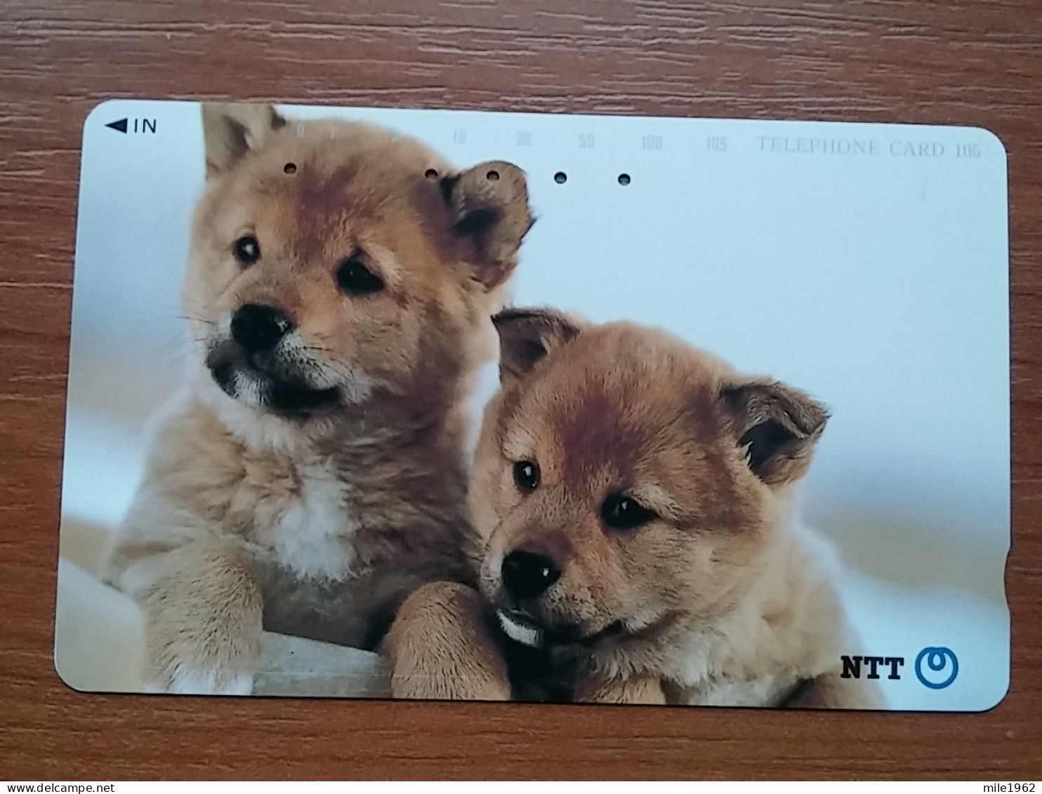 T-375 - JAPAN, Japon, Nipon, TELECARD, PHONECARD, Dog, Chien, NTT 331-342 - Honden