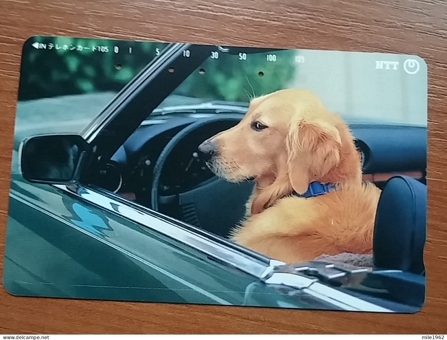 T-375 - JAPAN, Japon, Nipon, TELECARD, PHONECARD, Dog, Chien, NTT 331-447 - Honden