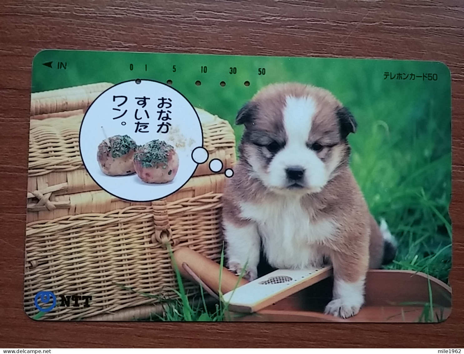 T-375 - JAPAN, Japon, Nipon, TELECARD, PHONECARD, Dog, Chien, NTT 331-475 - Hunde